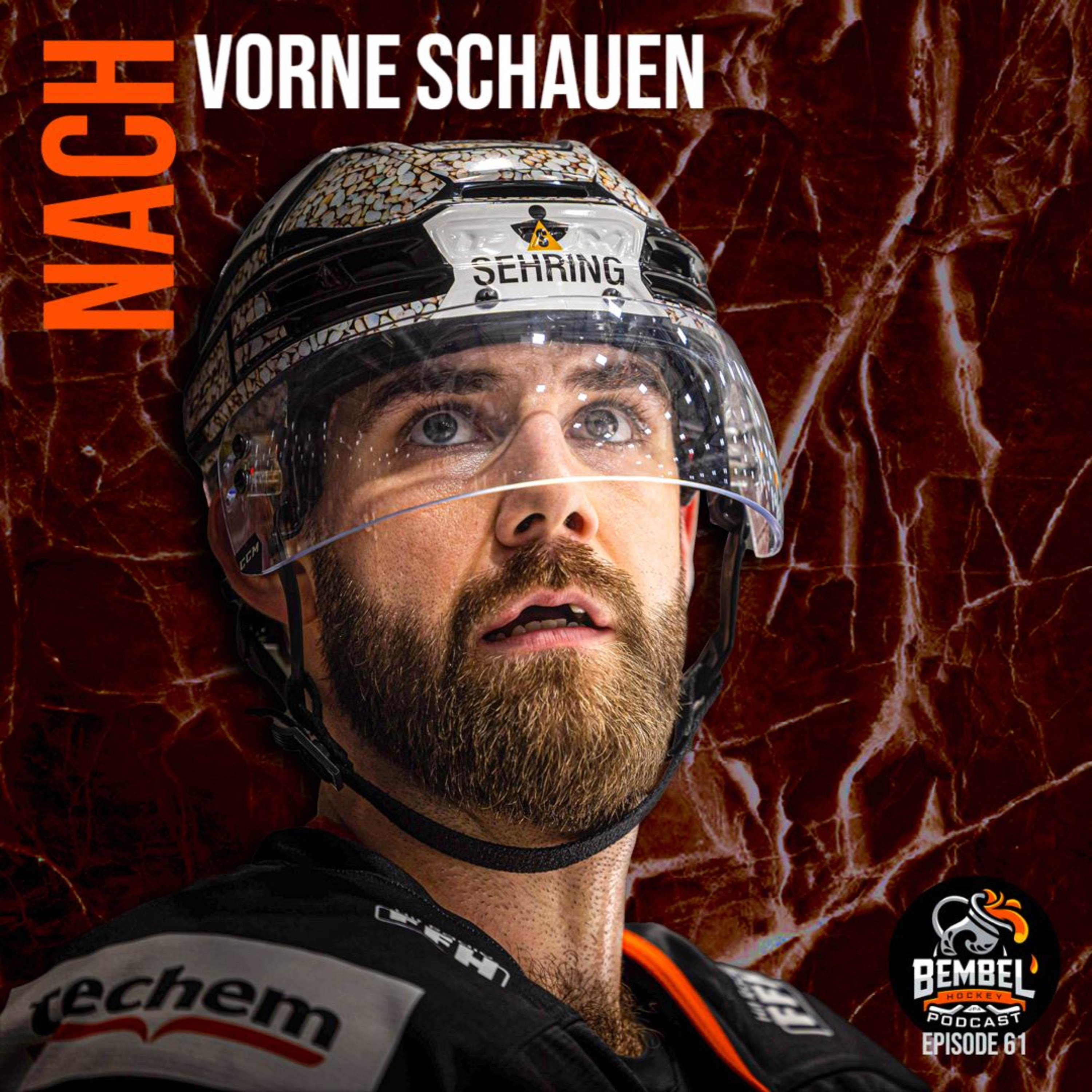 BembelBros - Frankfurter Eishockeytalk
