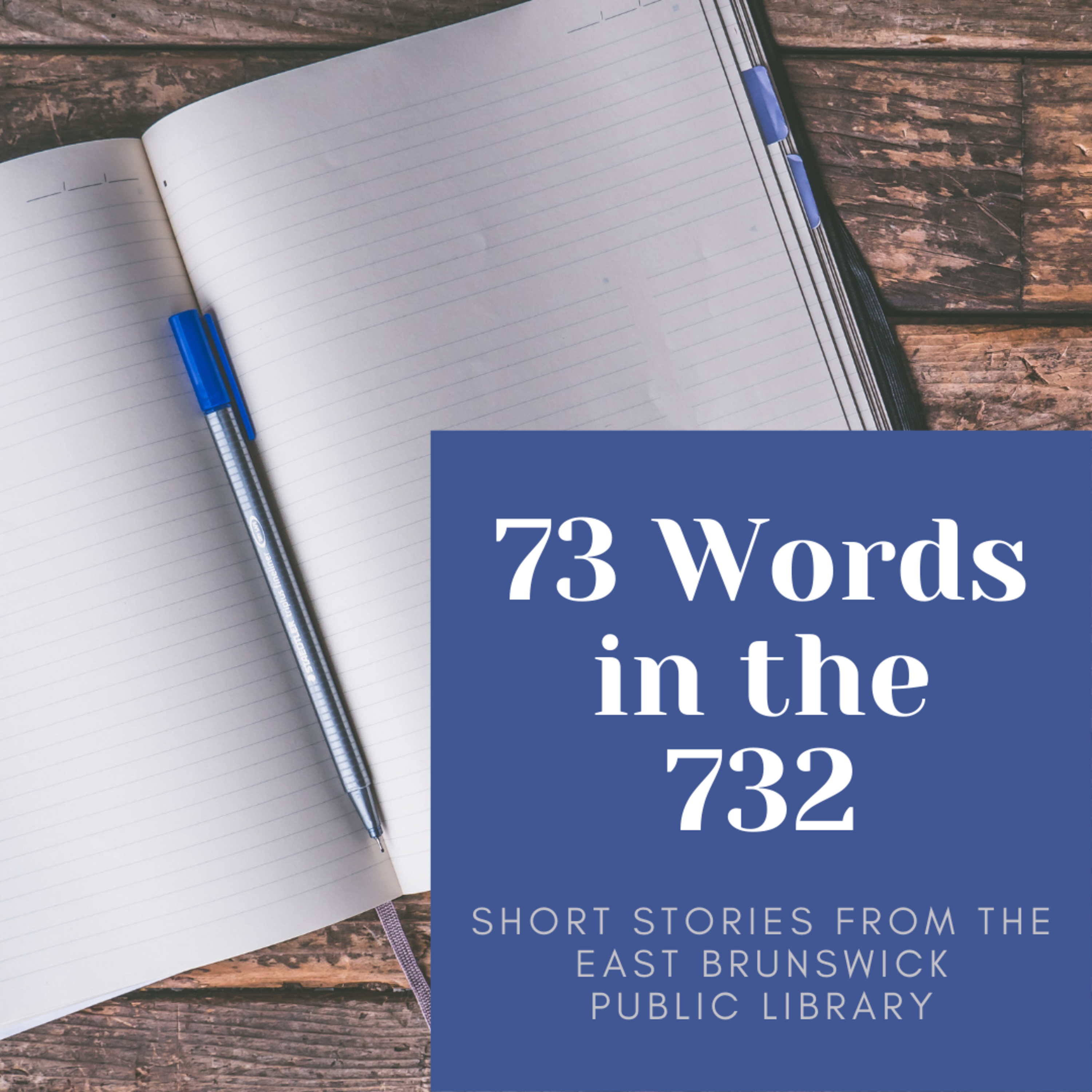 73 Words in the 732 S2Ep8: Natania Birnbaum, "The Universe" episode artwork