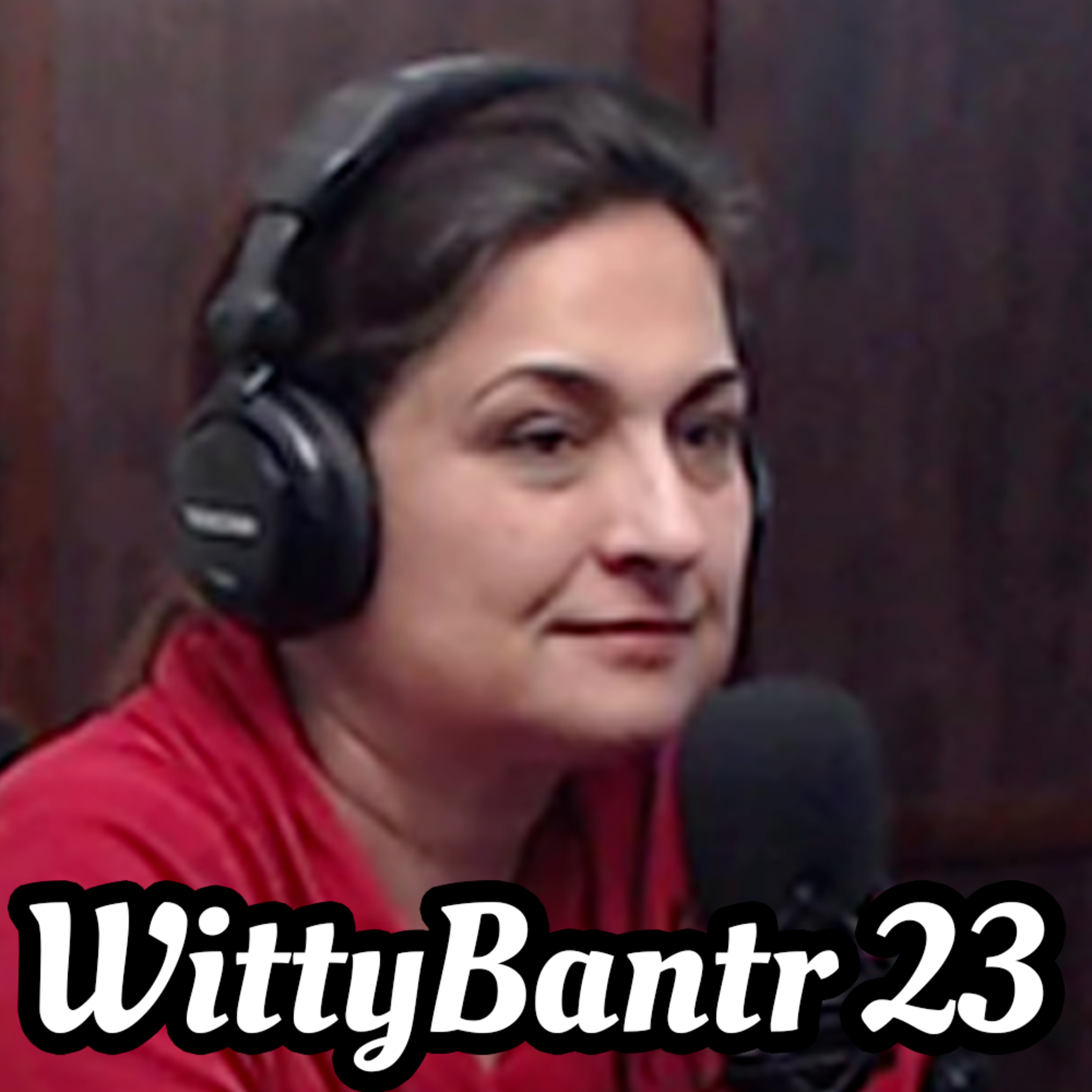 Mothercode - WittyBantr 23 episode artwork