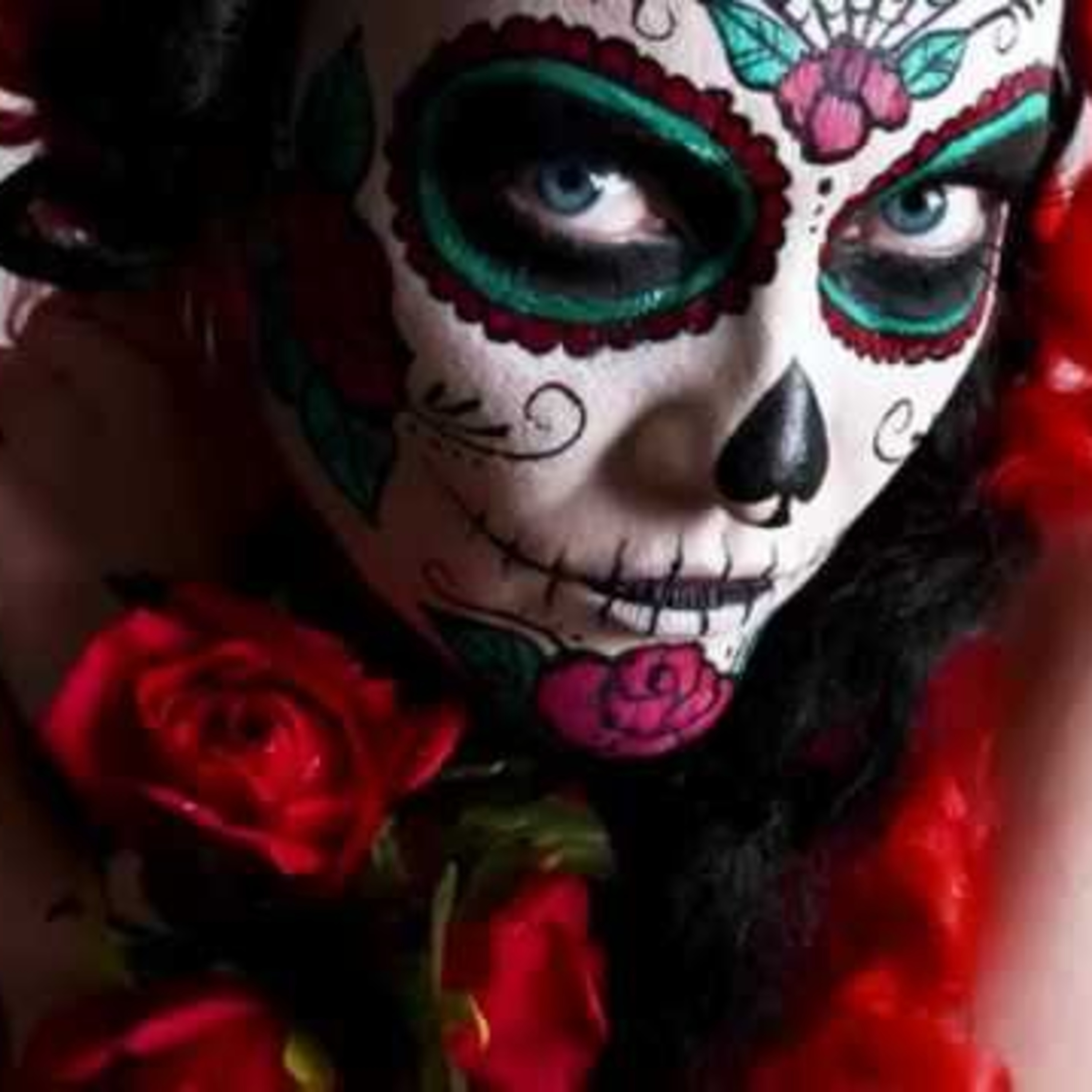Habla Lanatta