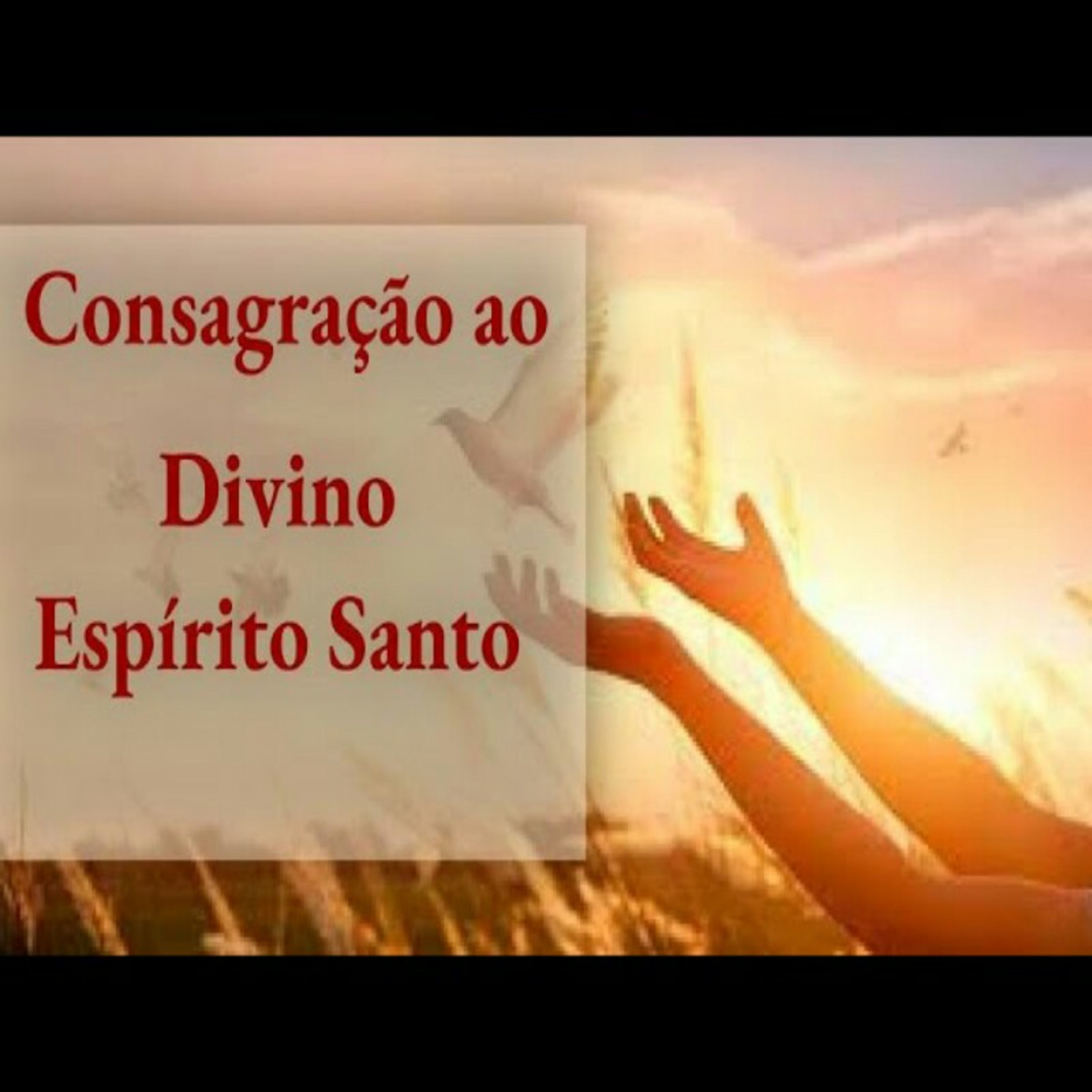 Consagração ao Divino Espírito Santo episode artwork