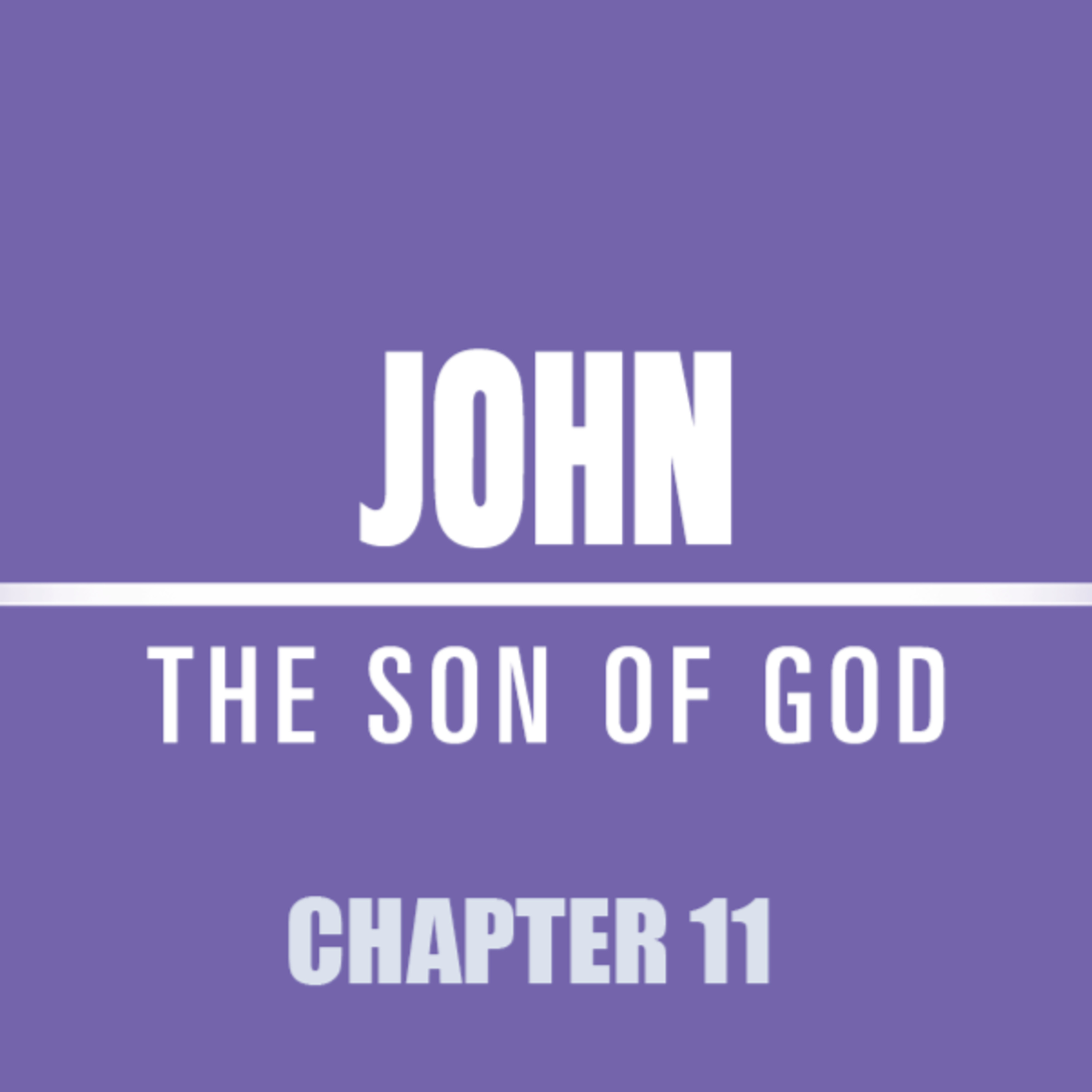 John 11 : 1 - 27 "The Glory of God" episode artwork
