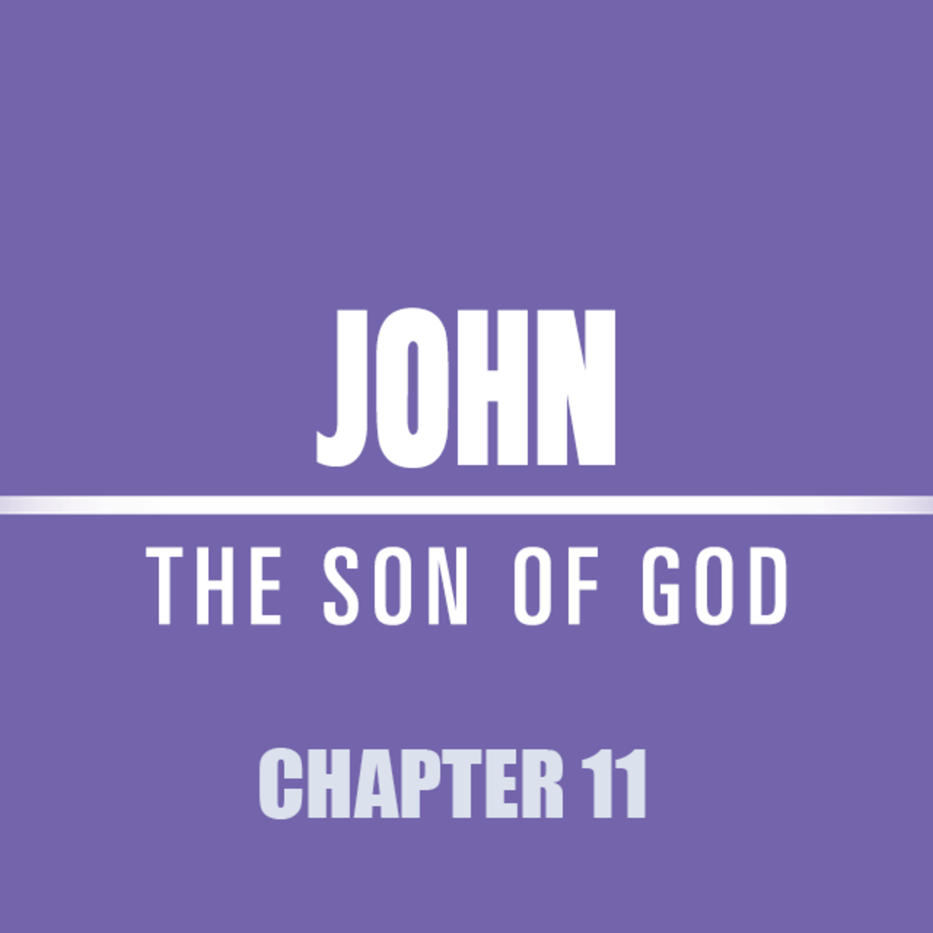 John 11 : 28 - 57 "At His Feet" episode artwork
