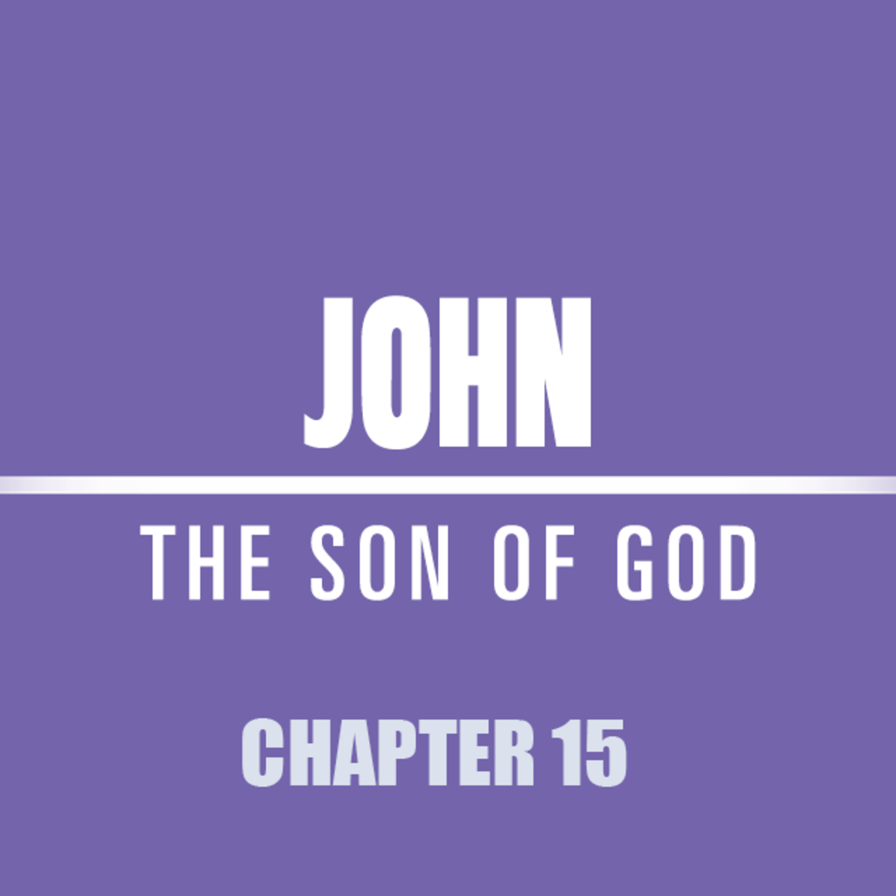 John 15 : 1 - 13 "Bears Much Fruit" episode artwork
