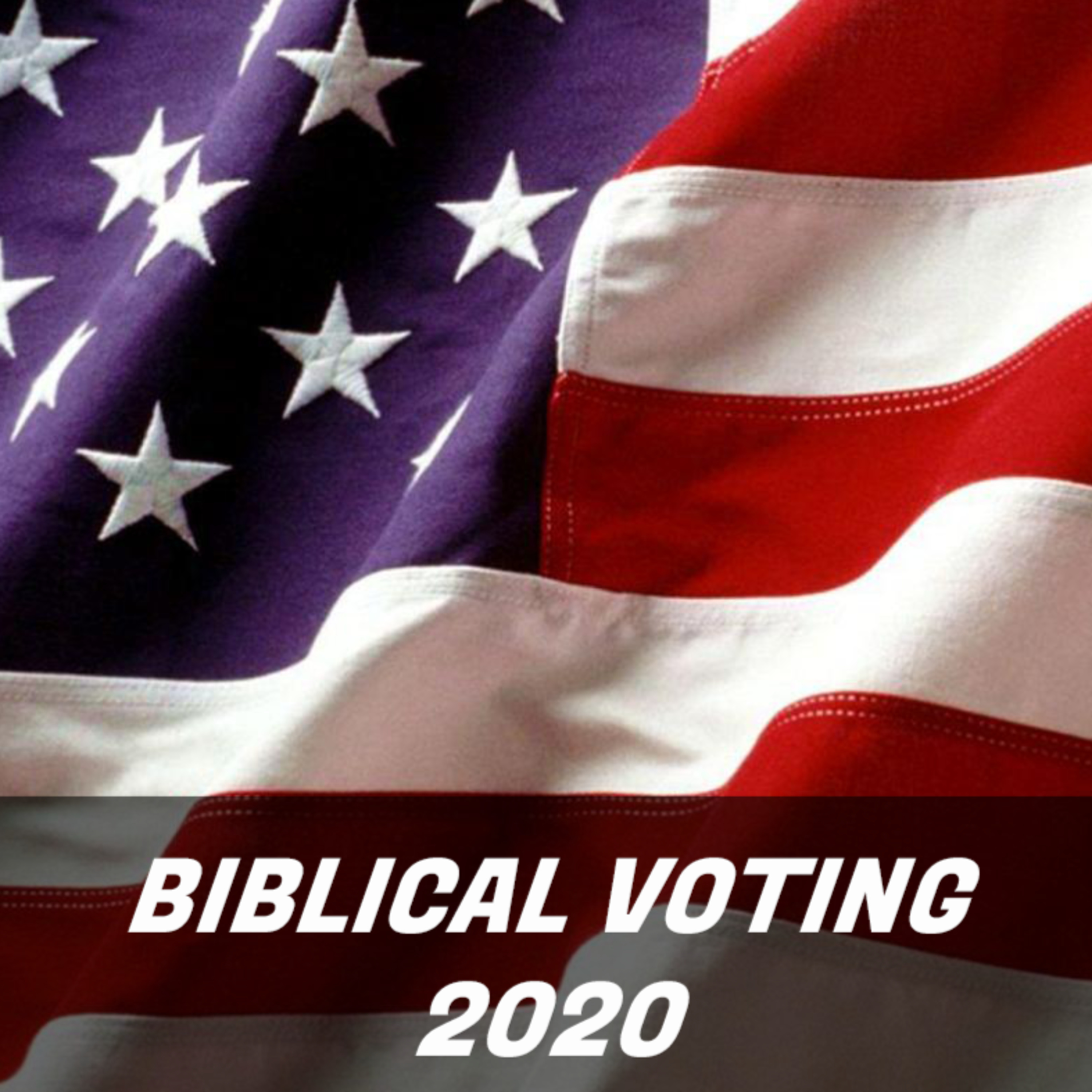 Biblical Voting 2020 episode artwork