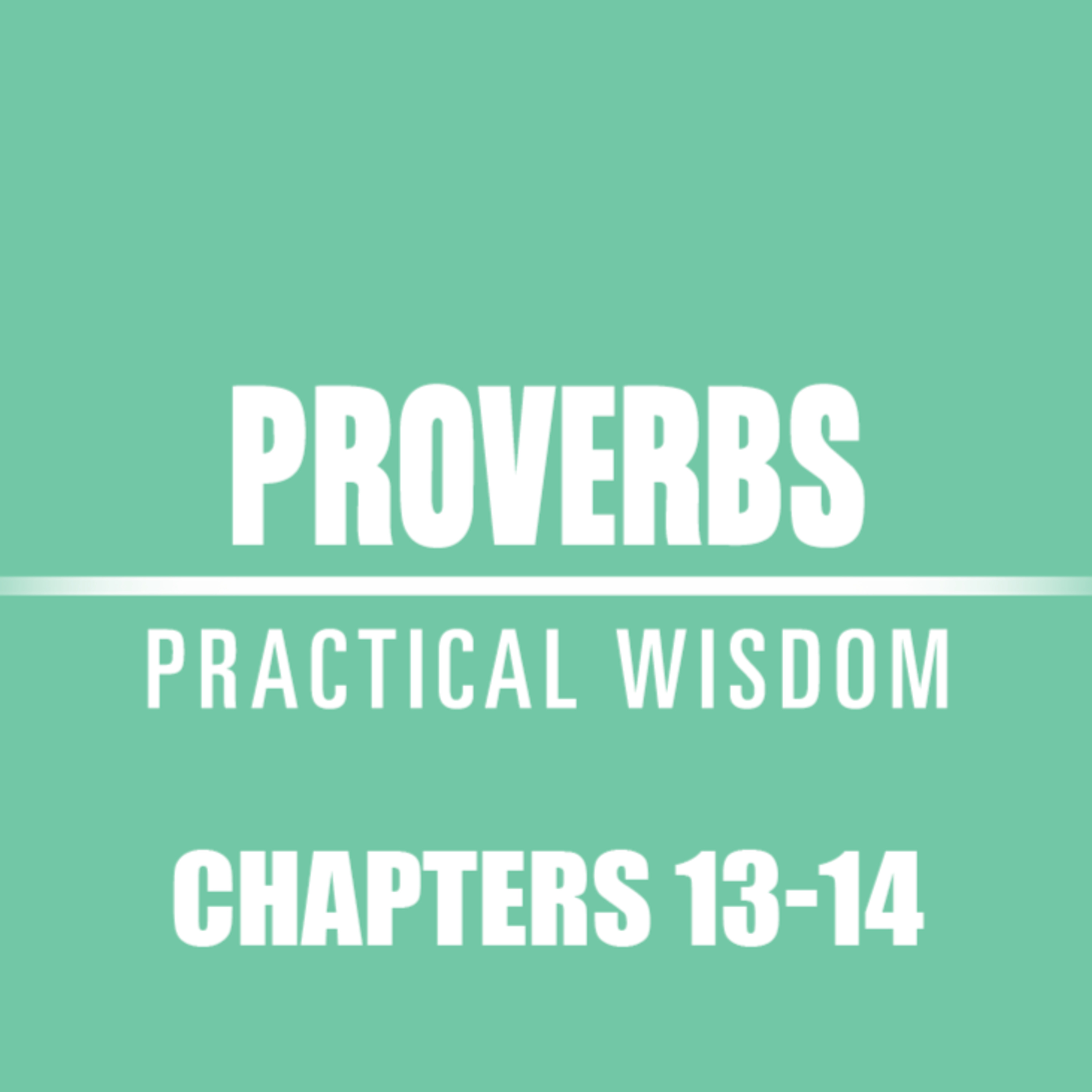Proverbs 13 - 14 episode artwork