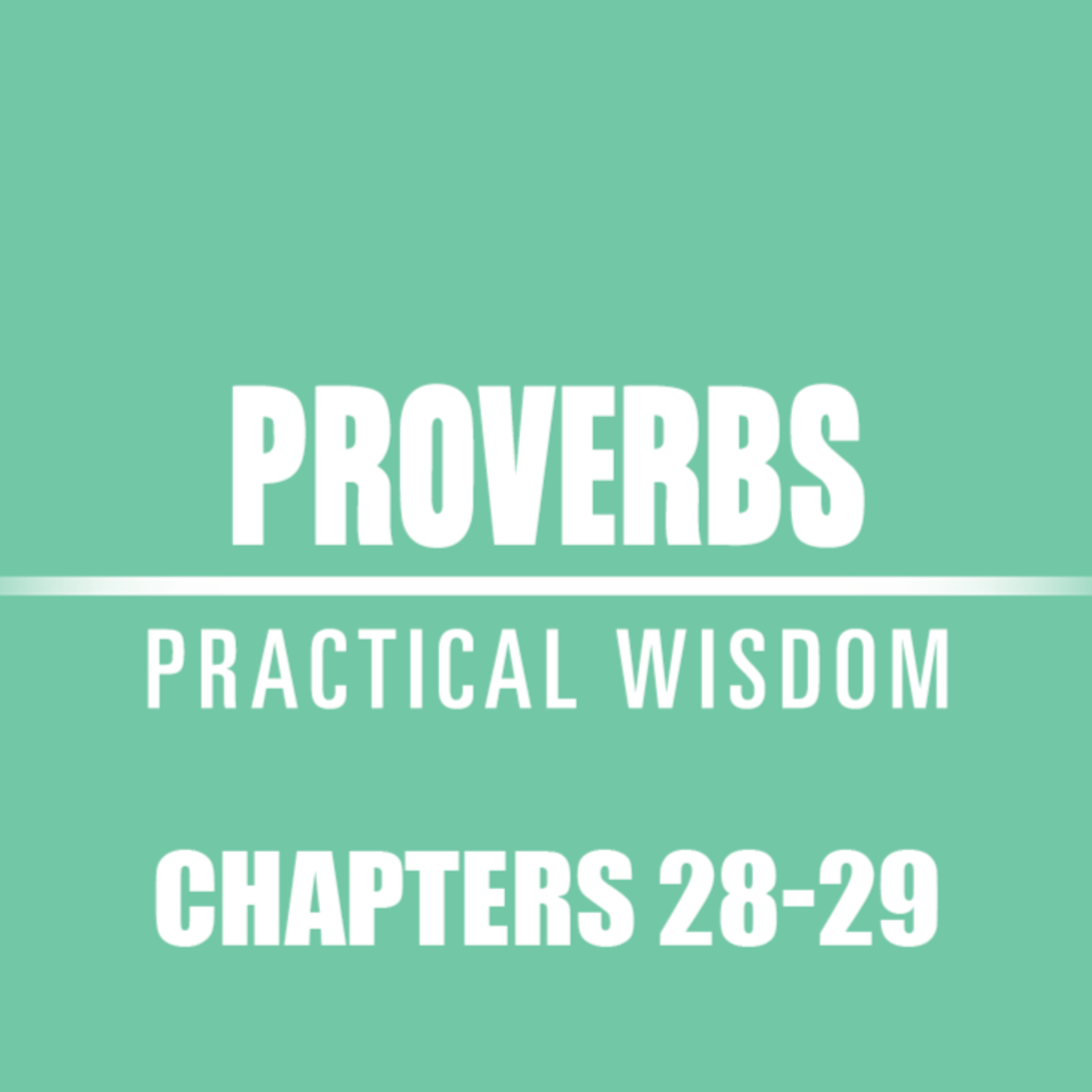 Proverbs 28 - 29 episode artwork