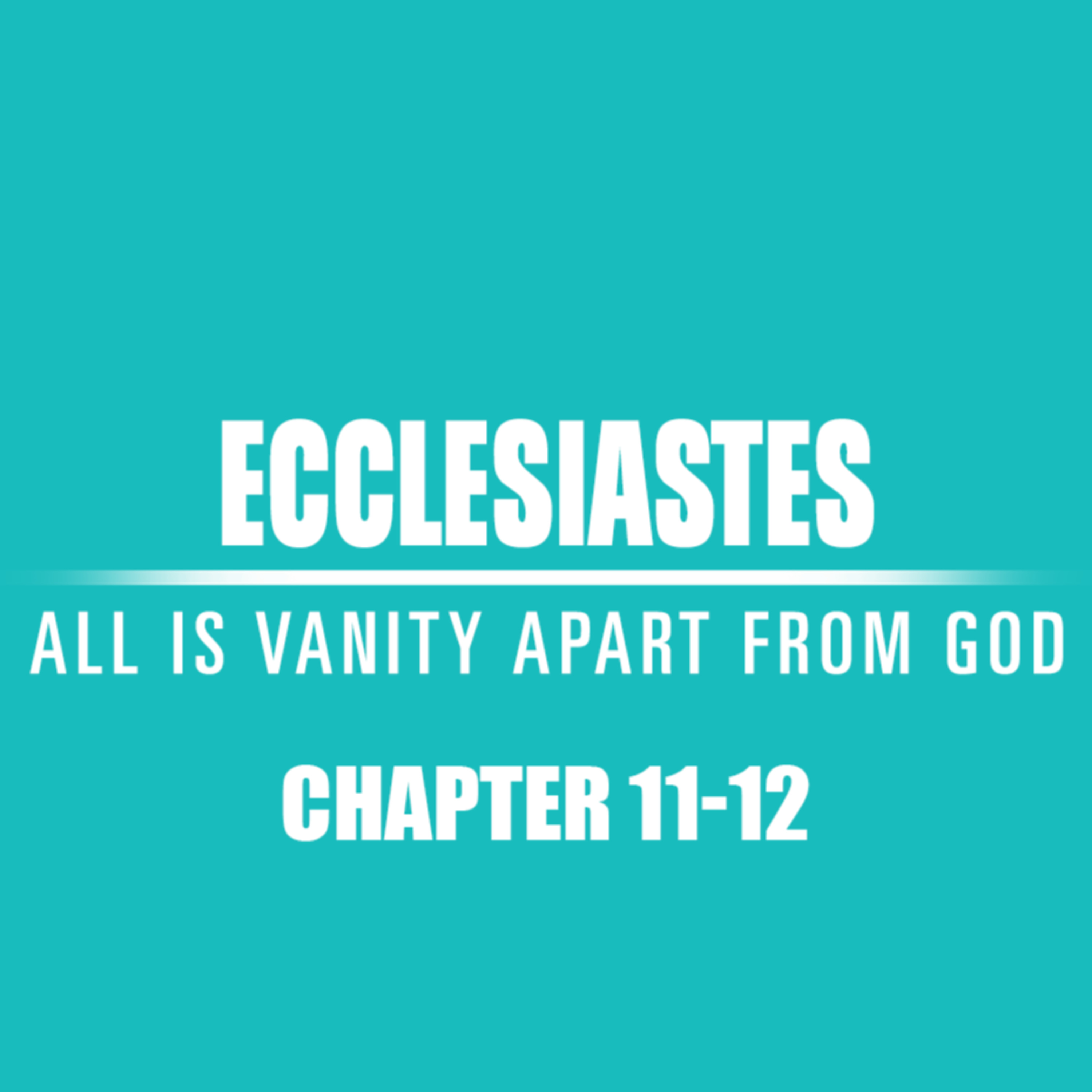 Ecclesiastes 11 - 12 episode artwork