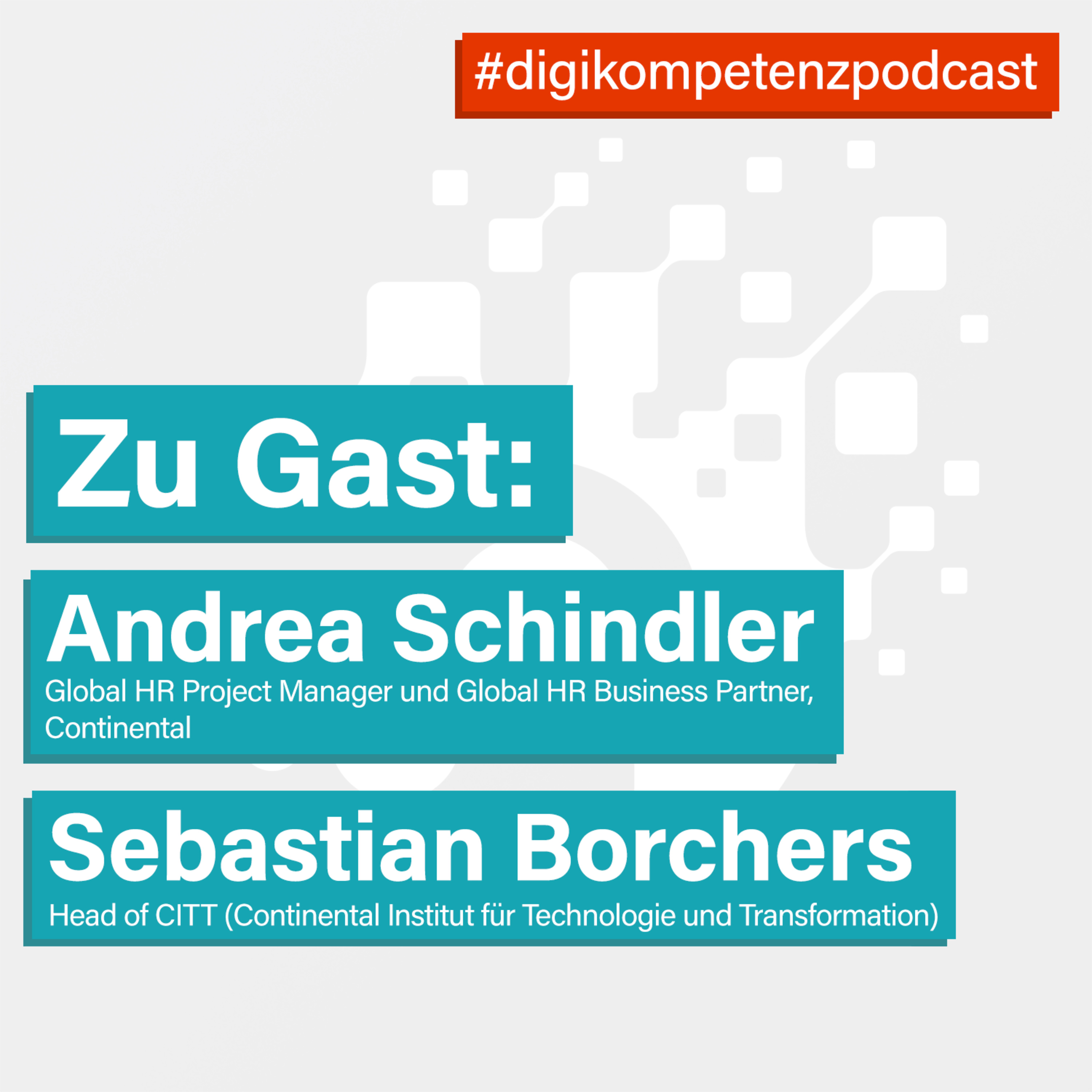 DigiKompetenz Podcast