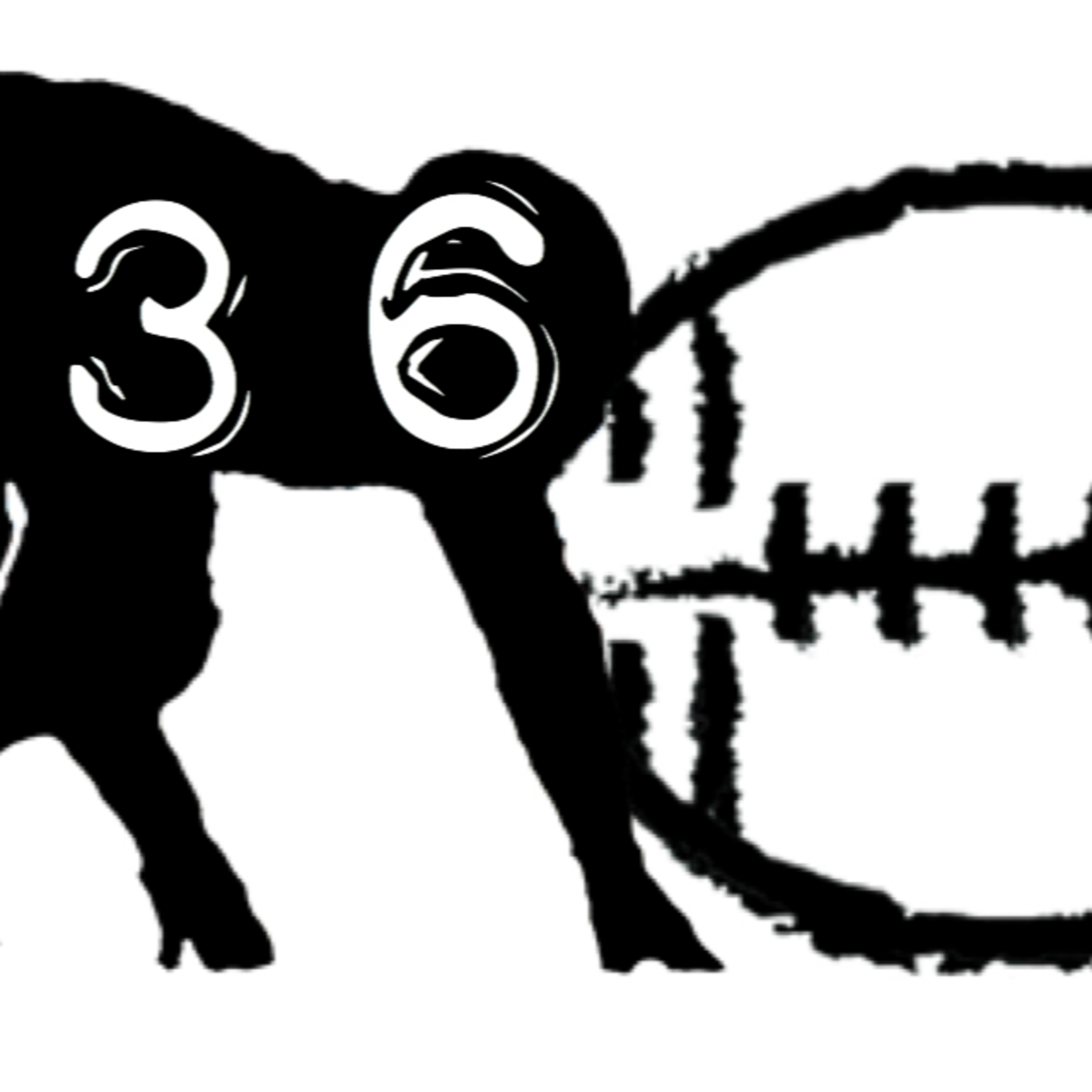 2019 Four-Point Stance: Episode 36 (Audio Only) episode artwork