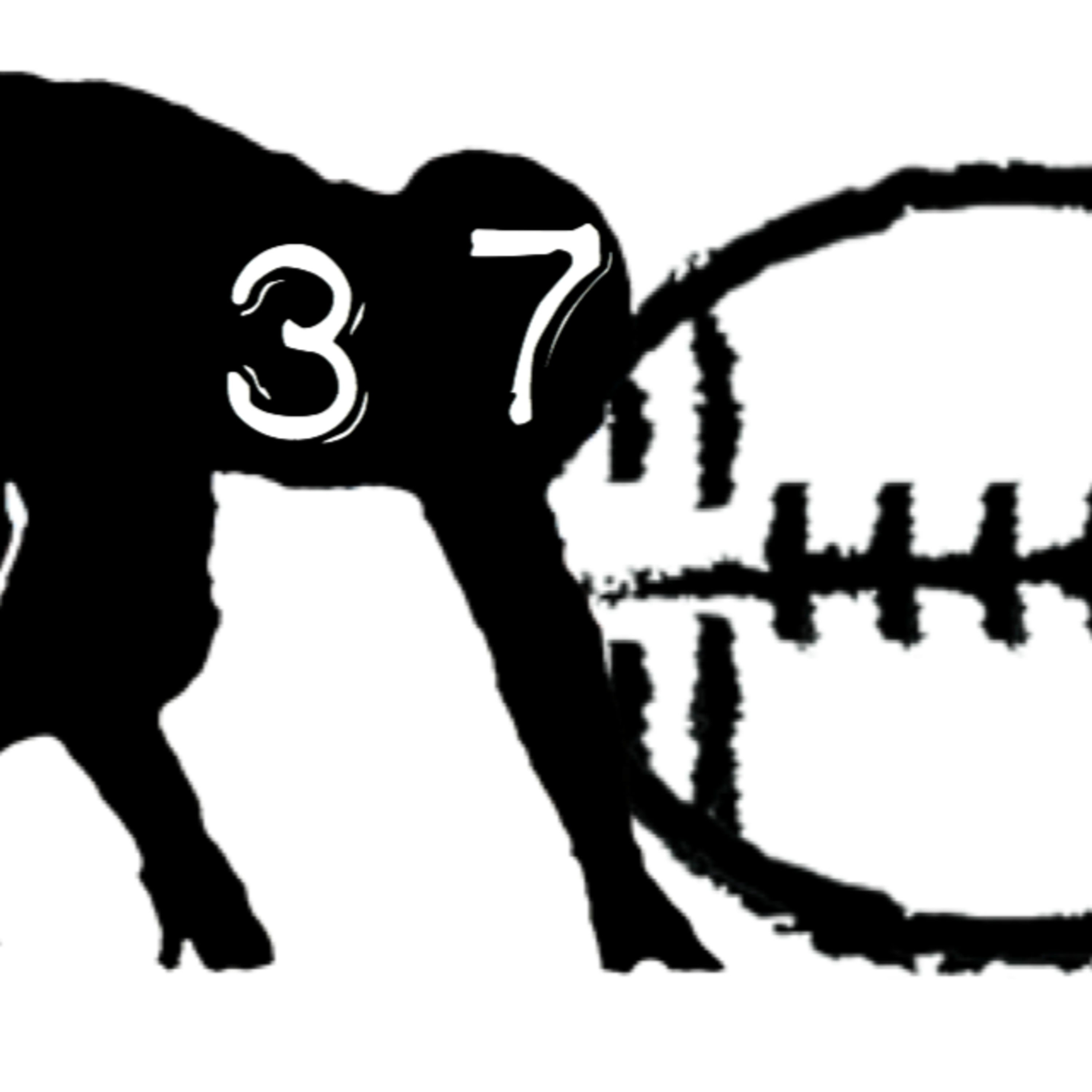 2019 Four-Point Stance Epiode 37 episode artwork