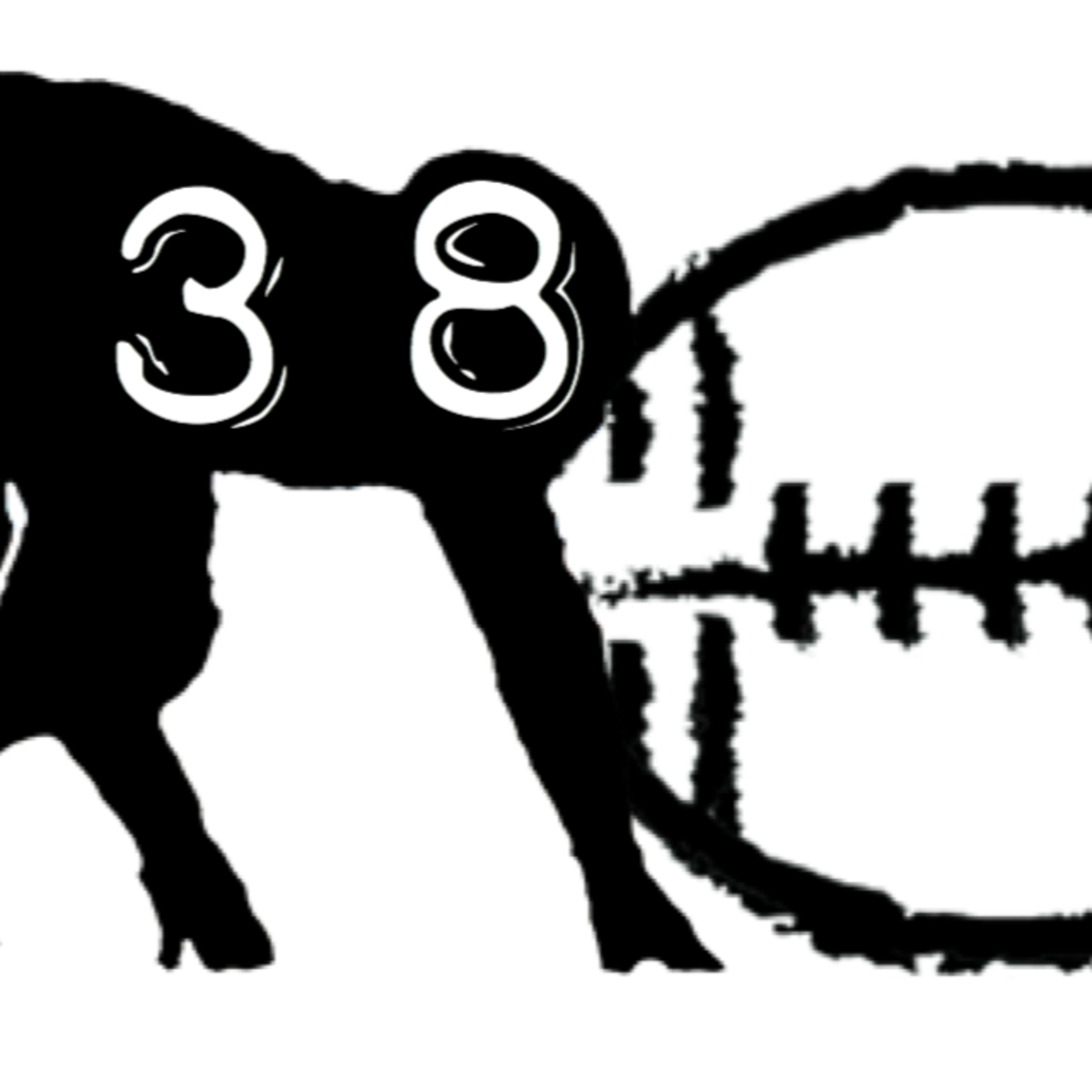 2019 Four-Point Stance: Episode 38 episode artwork