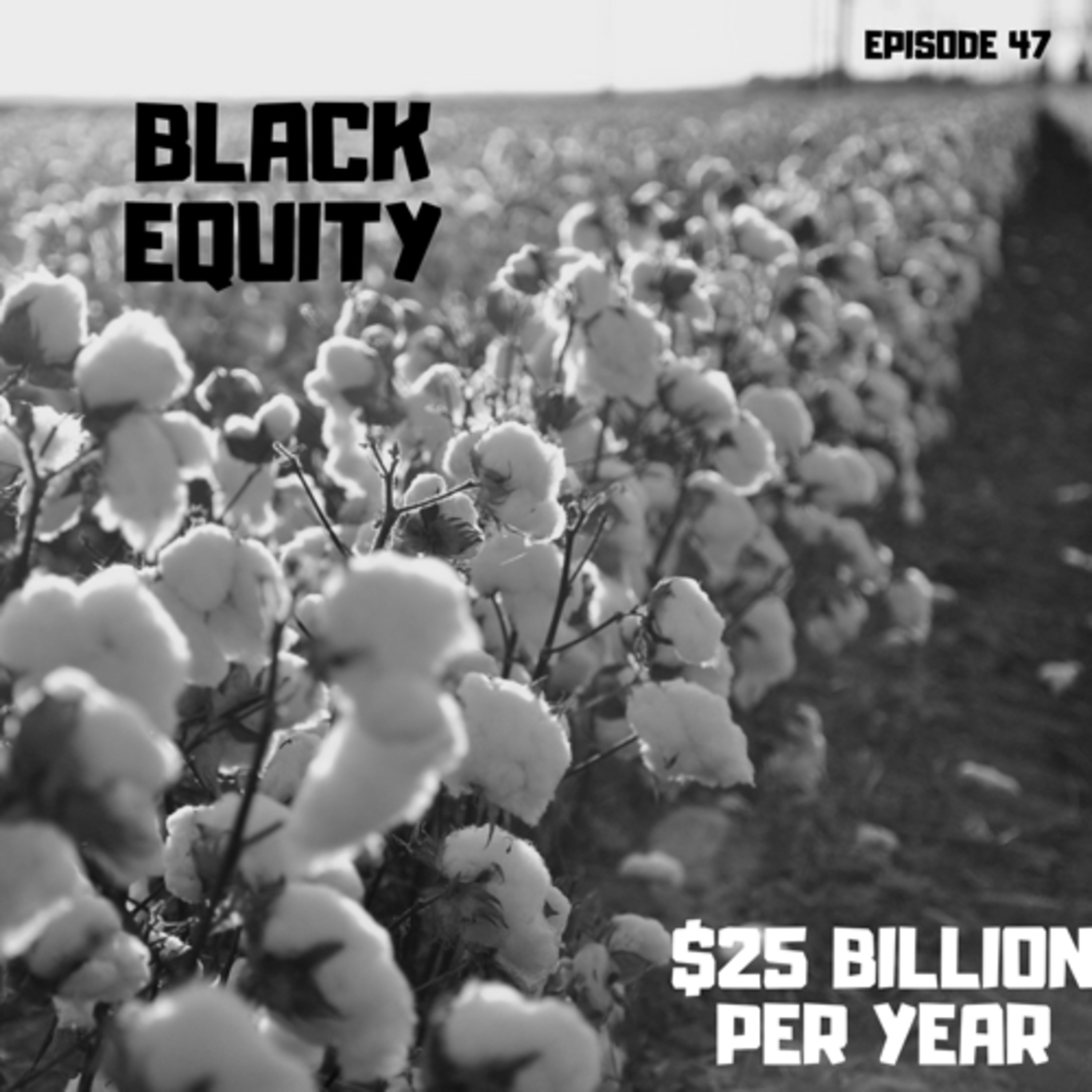 $25 Billion Per Year  episode artwork