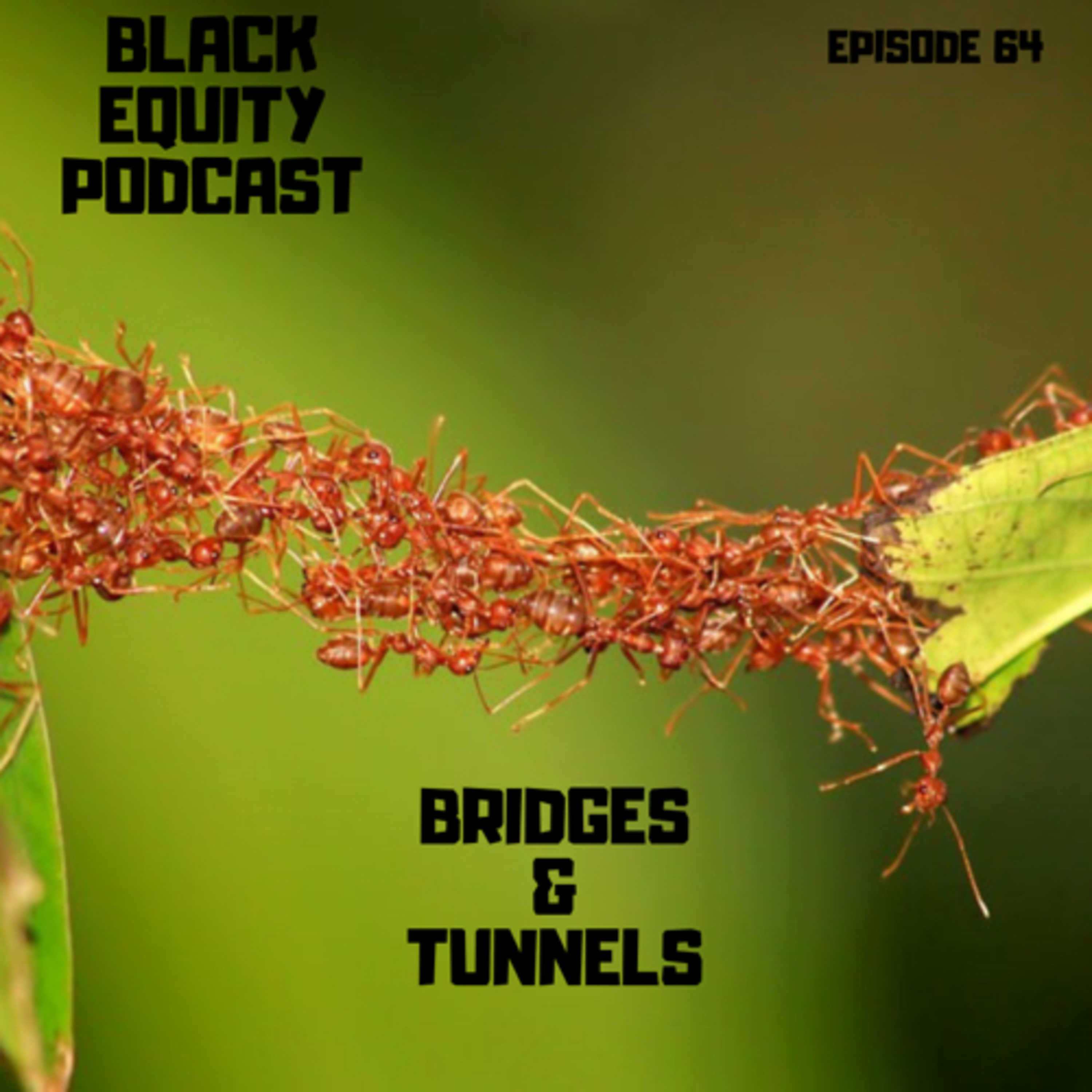 Bridges & Tunnels  episode artwork
