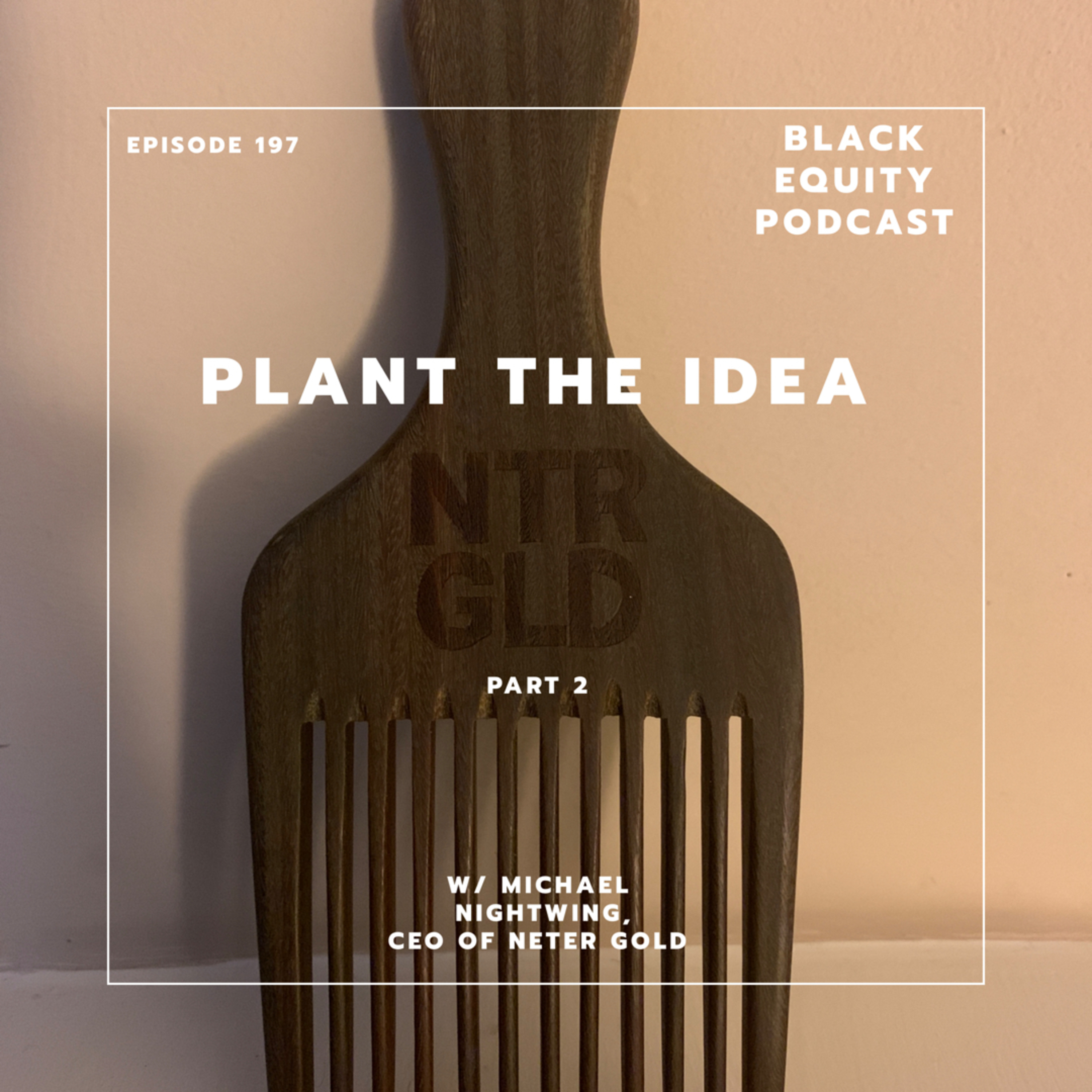 Ep. 197 - Plant The Idea - Part 2 w/ Michael Nightwing of NeterGold  episode artwork