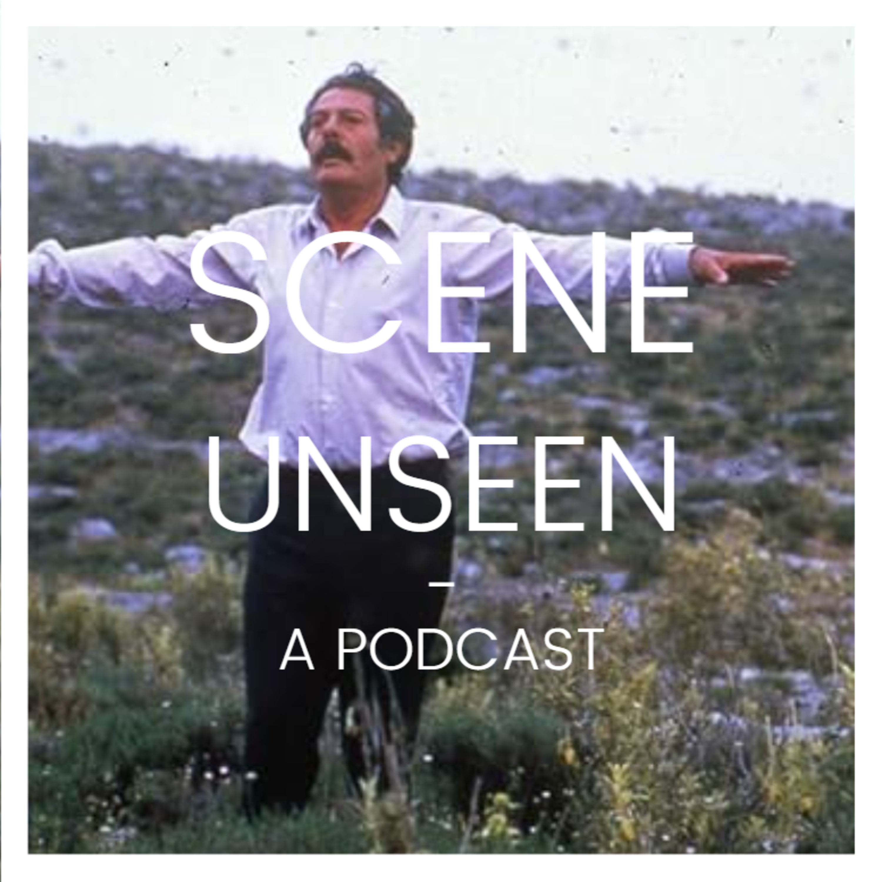 Ep. 76: SECOND ANNIVERSARY - Gifts to Each Other - The In-Laws (1979) & The Beekeeper (1986)
