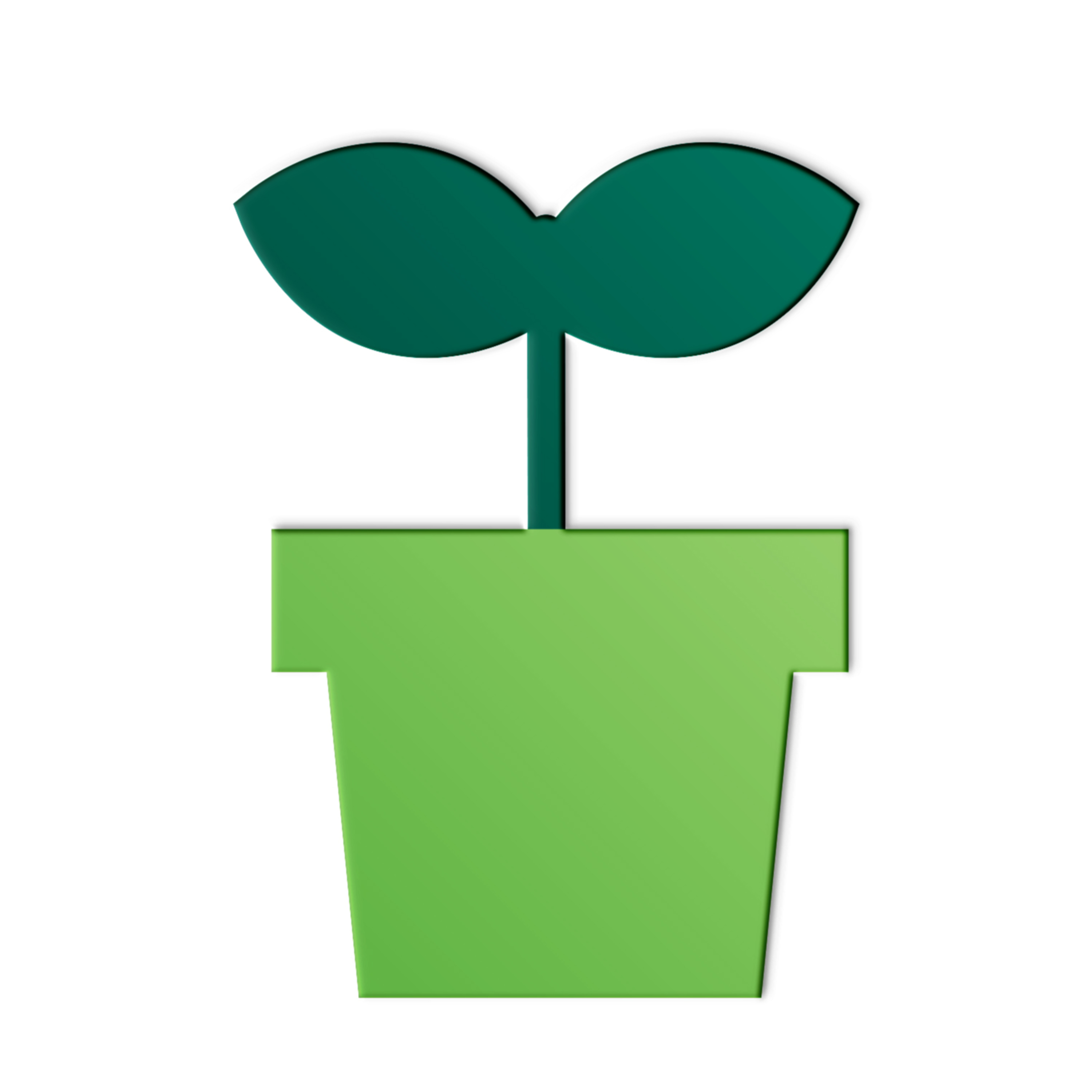 Ahogué a mi planta