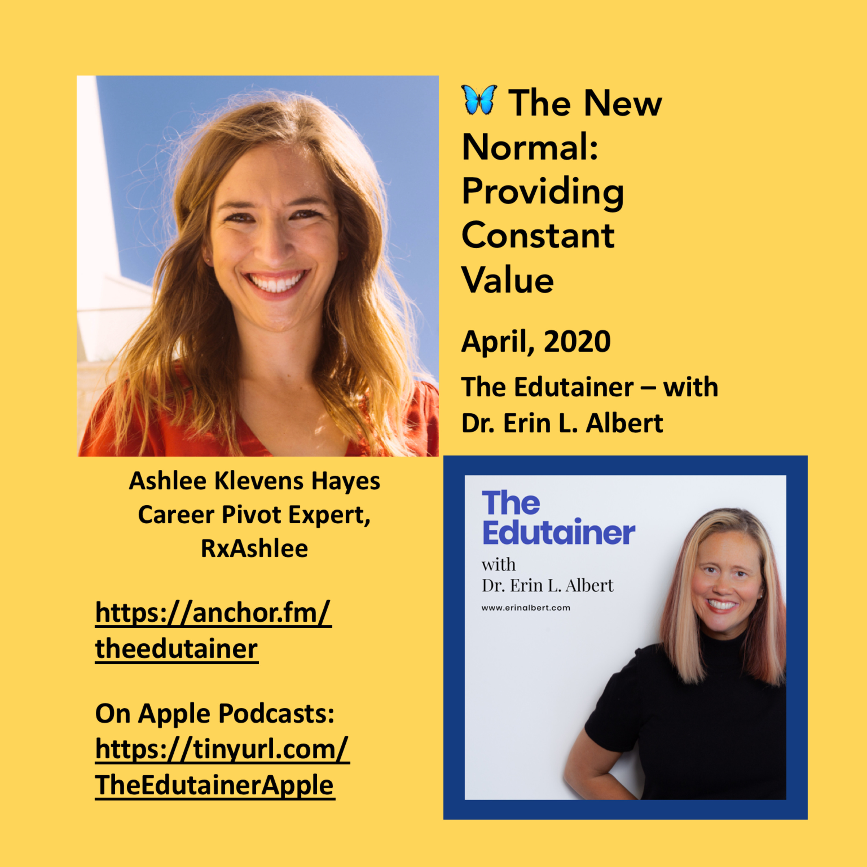 🦋Ep. 11: The New Normal: Providing Constant Value - Chat with Ashlee Klevens Hayes episode artwork