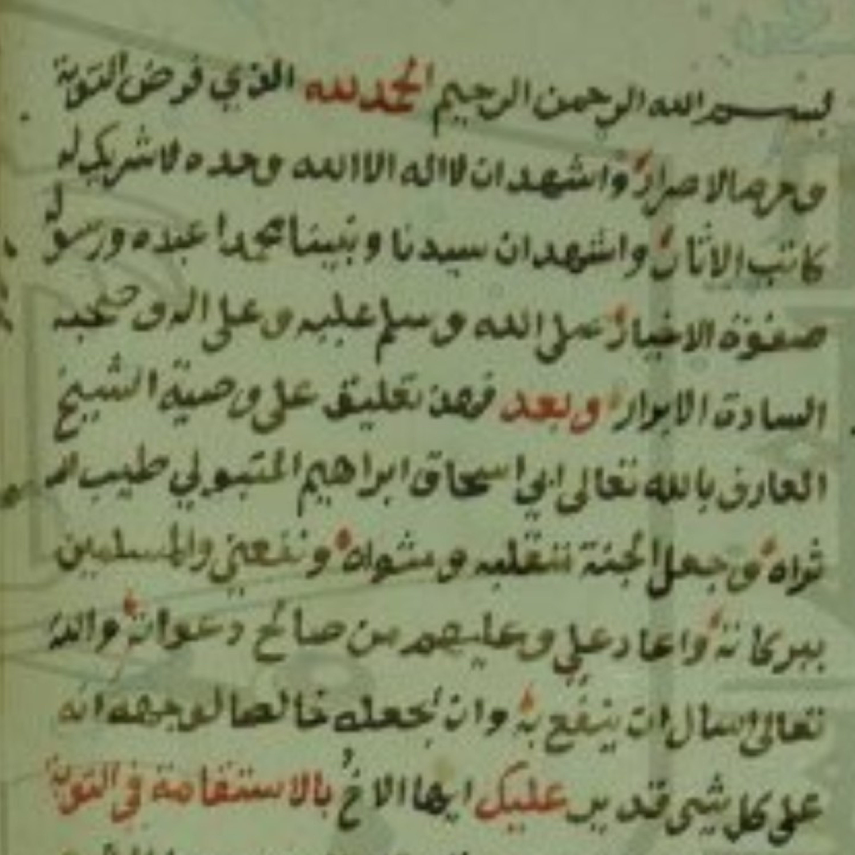 Happy Tarbiyah