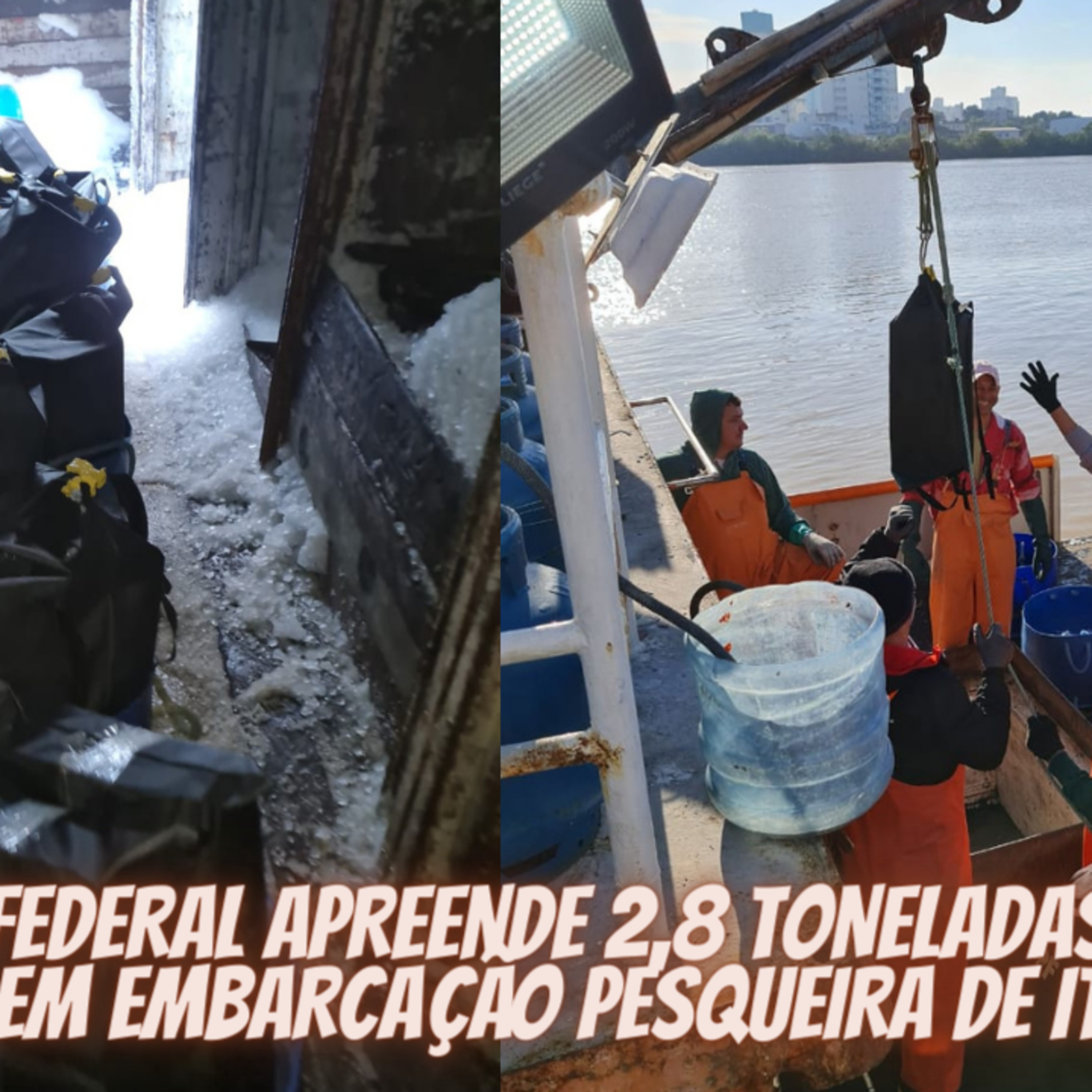 FRATERNIDADE ENTRE LEÕES