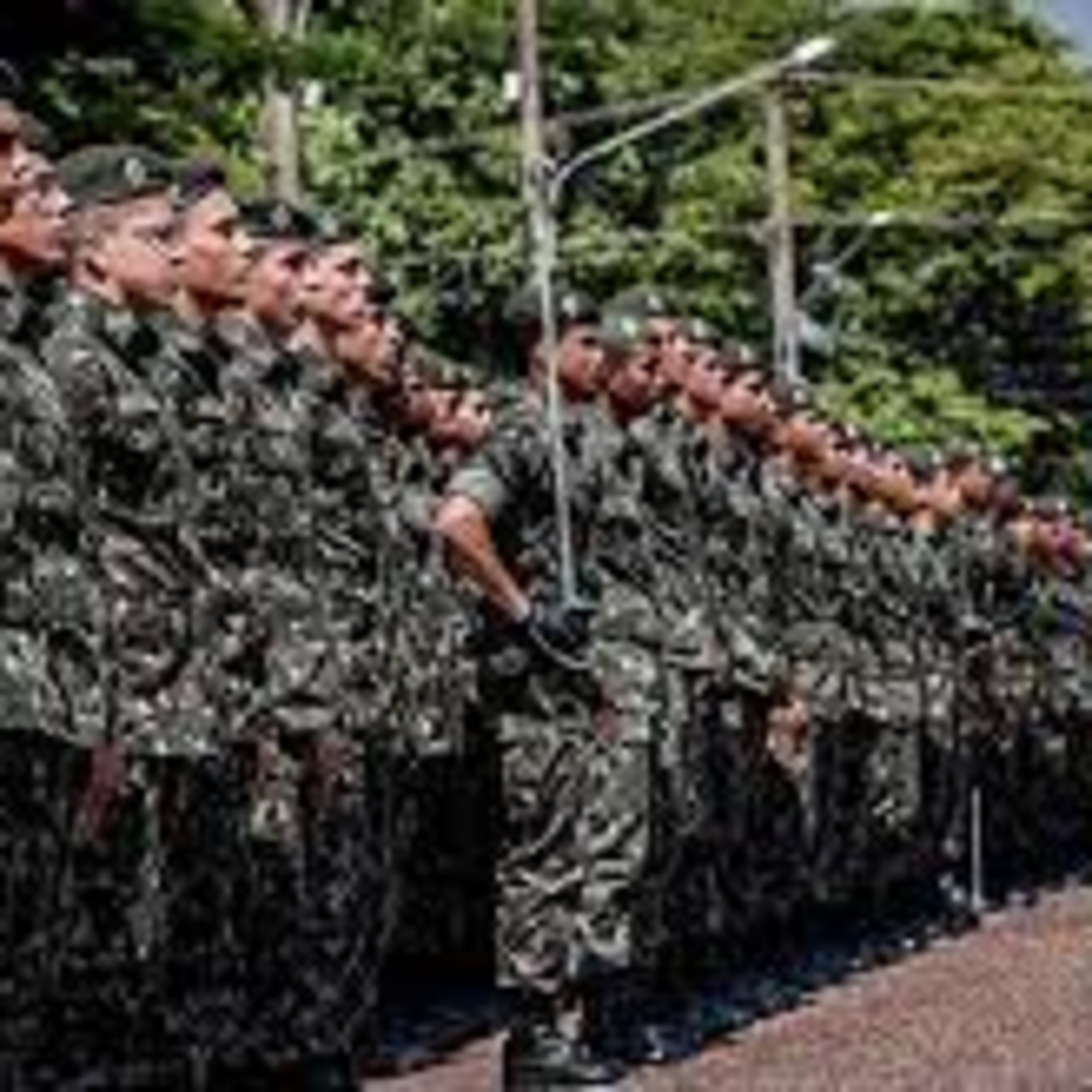 FRATERNIDADE ENTRE LEÕES