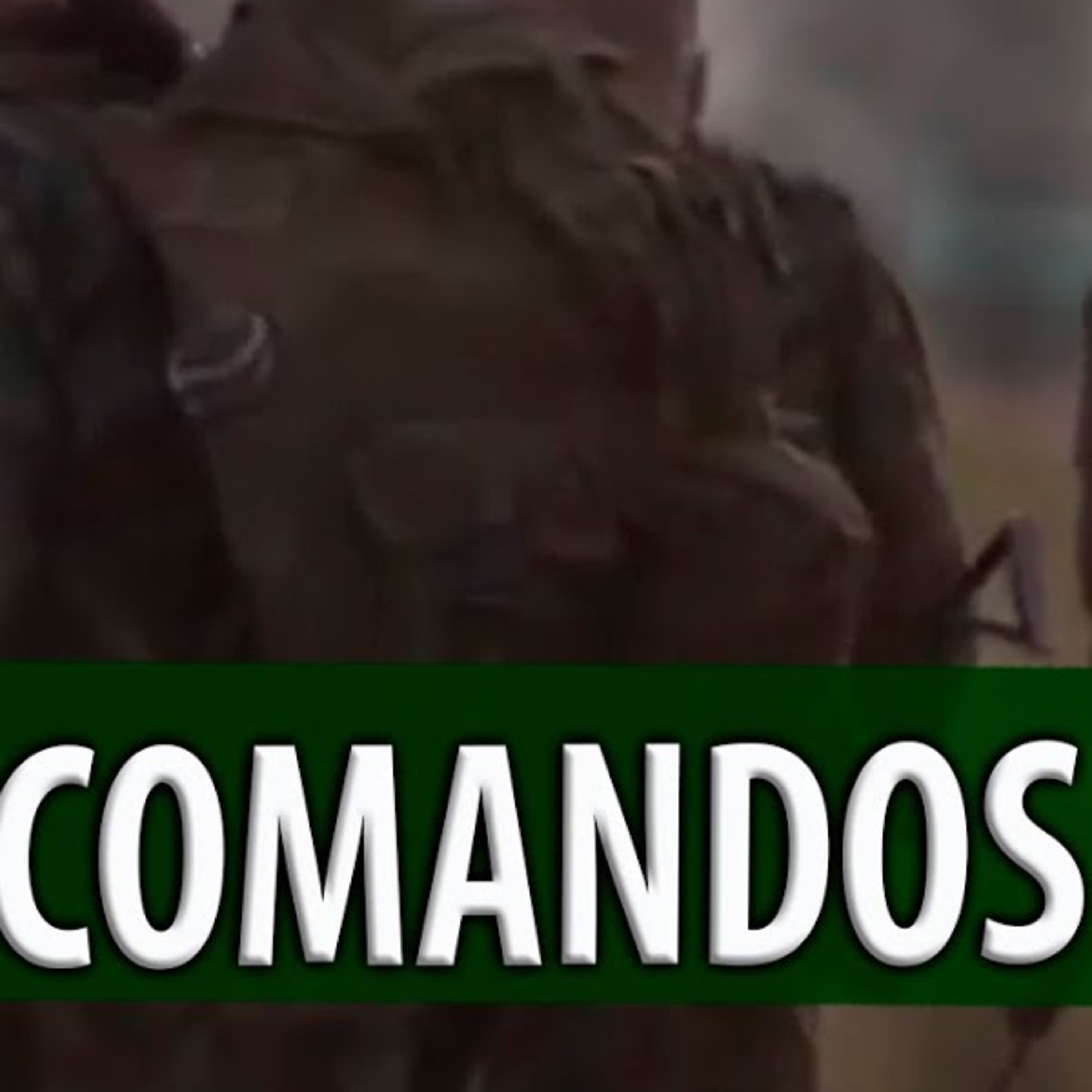 FRATERNIDADE ENTRE LEÕES