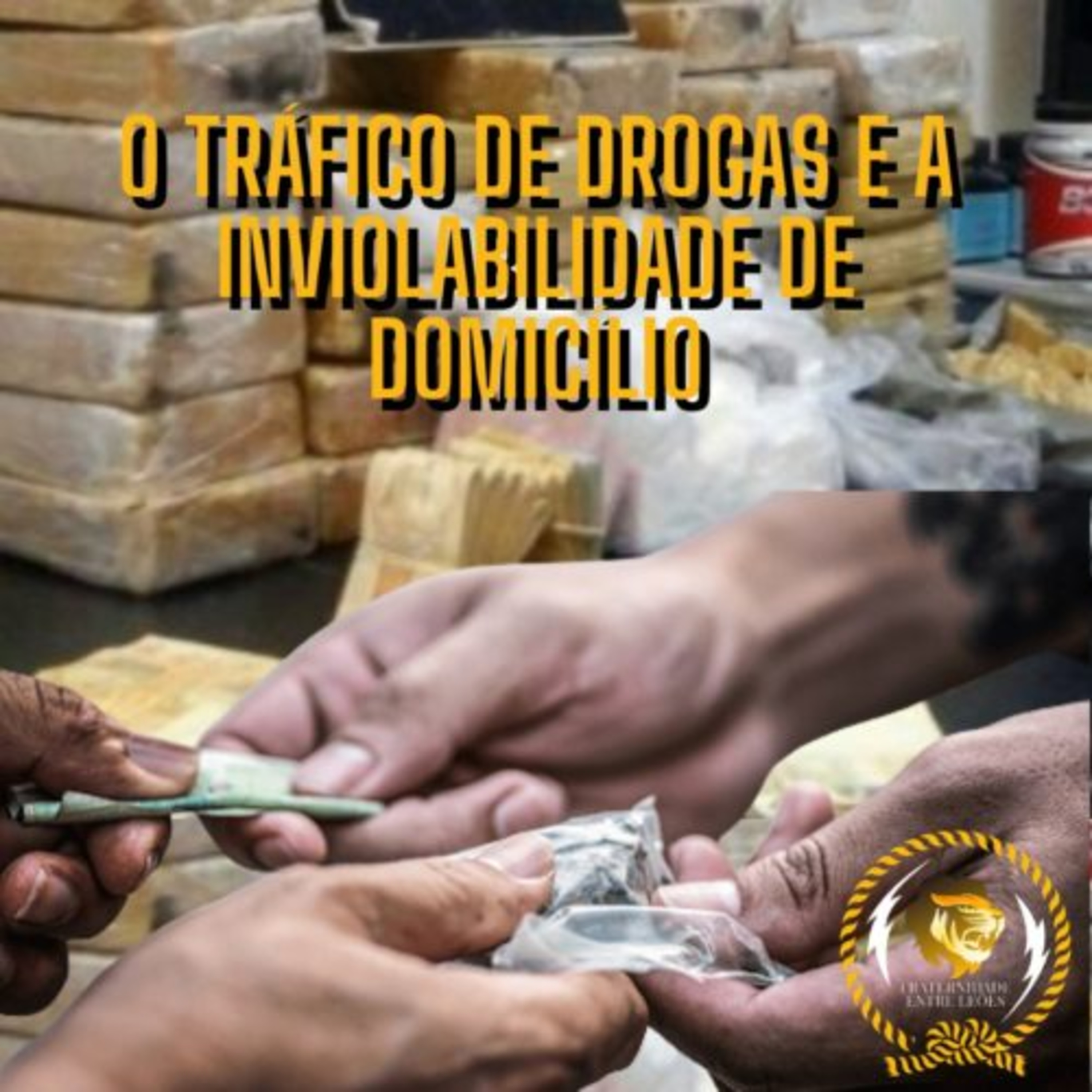 FRATERNIDADE ENTRE LEÕES