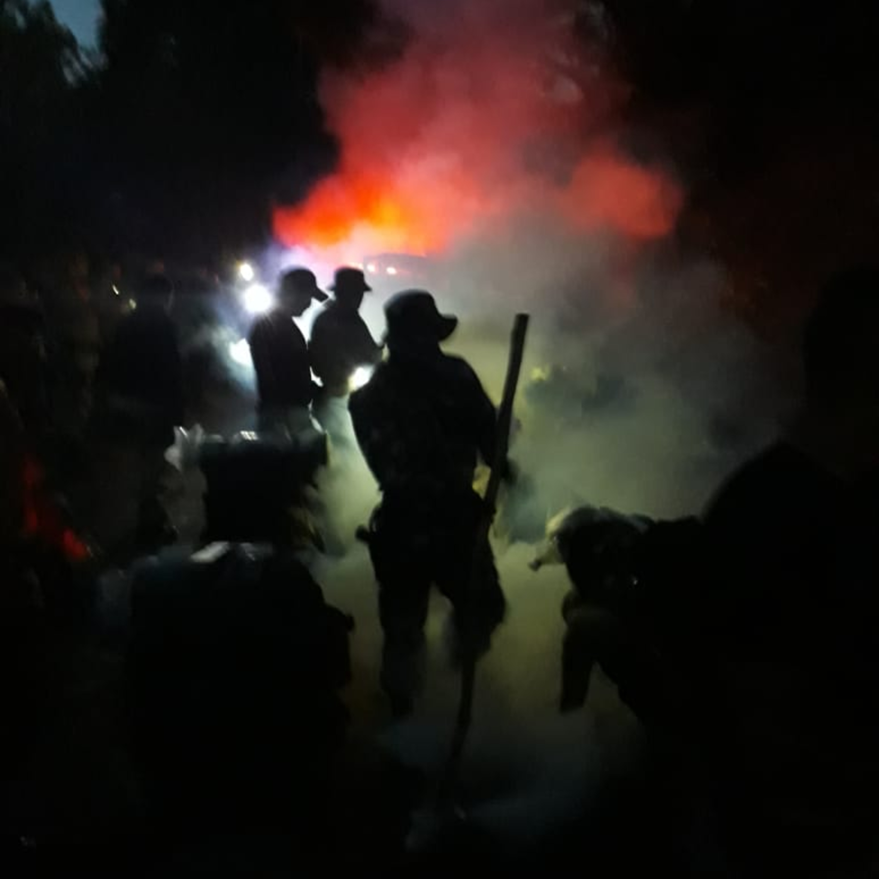 FRATERNIDADE ENTRE LEÕES