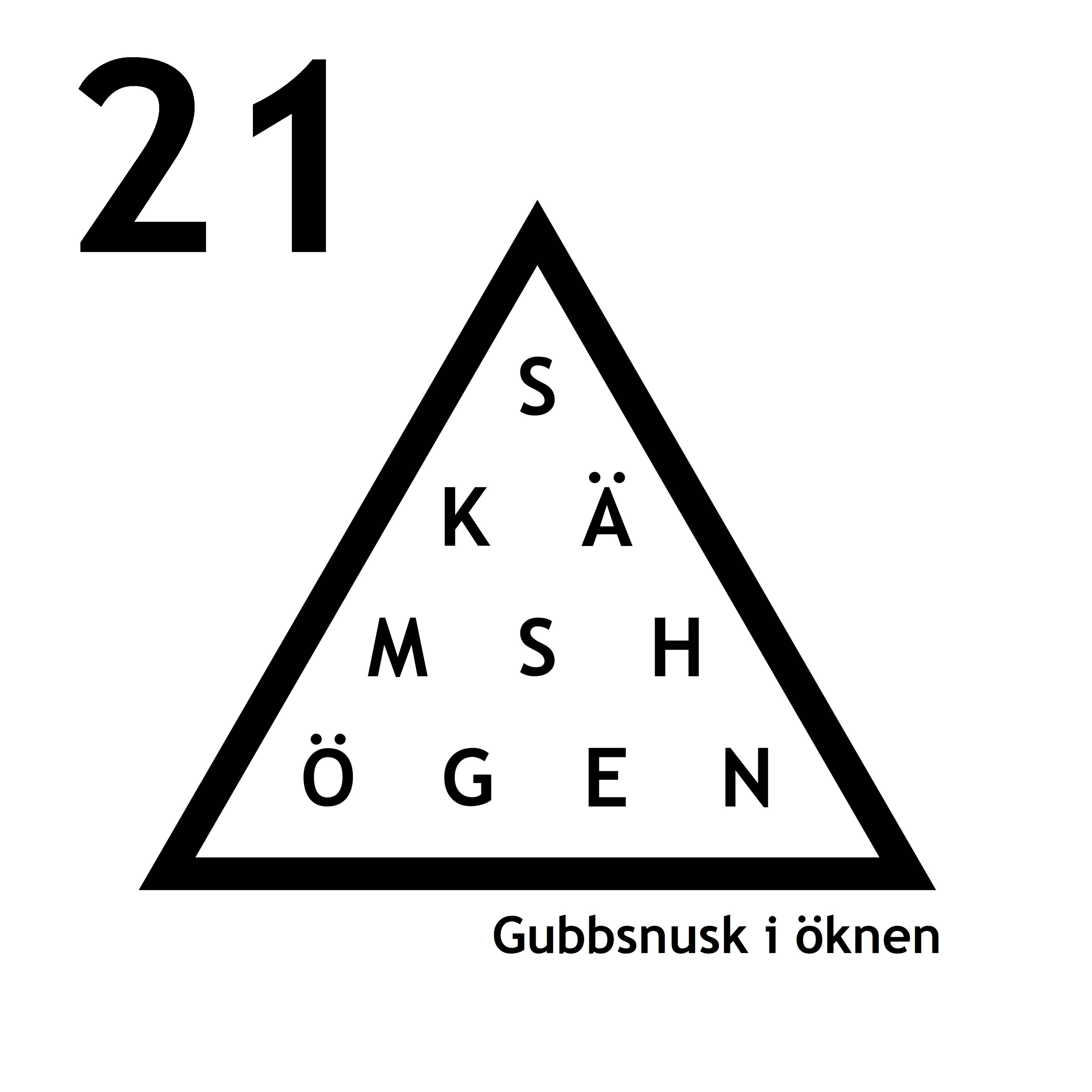 Avsnitt 21 - Gubbsnusk i öknen