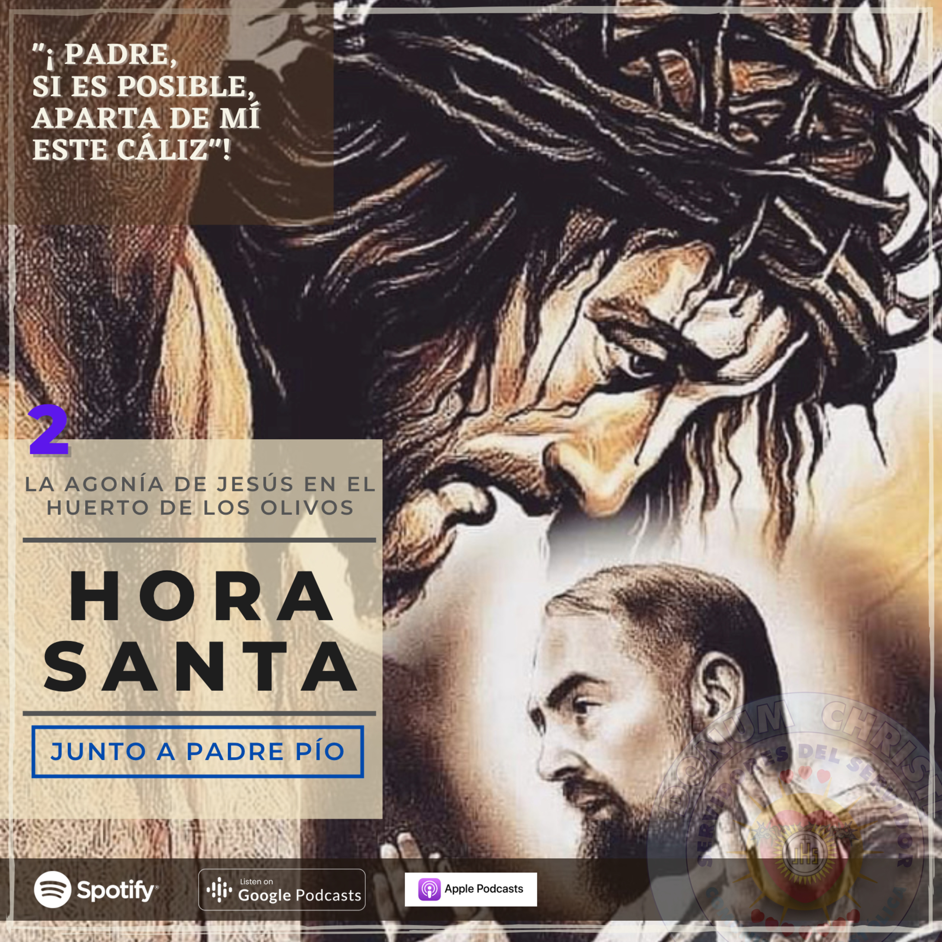 Novena Virgen de Fátima | Servidores del Servidor