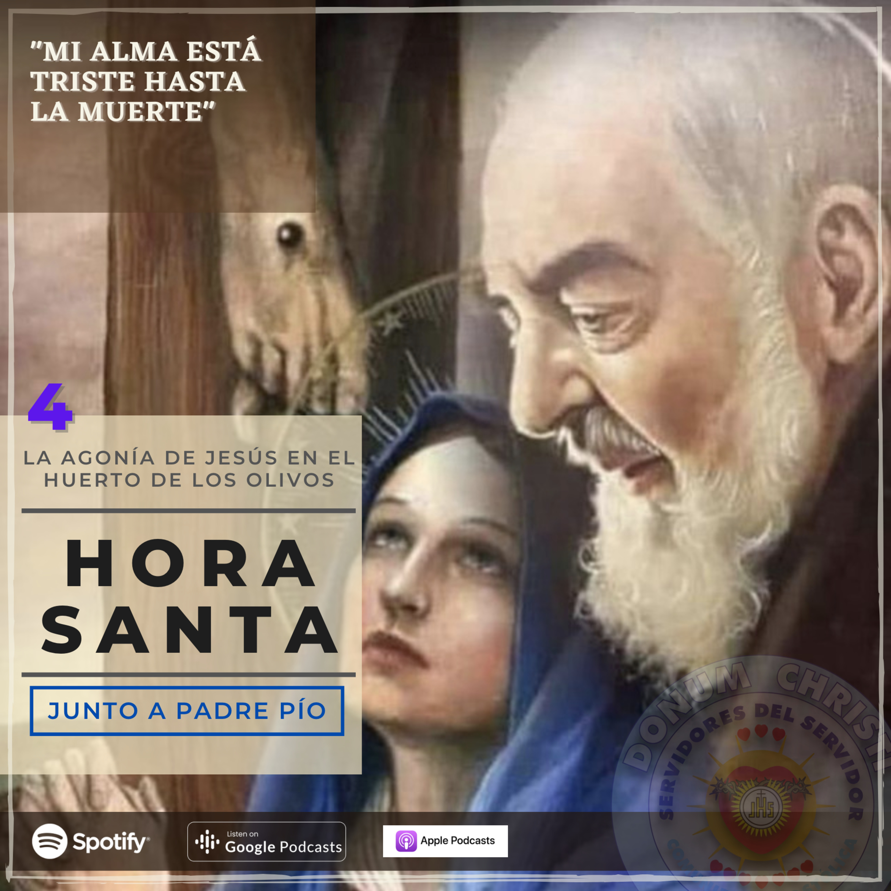 Novena Virgen de Fátima | Servidores del Servidor