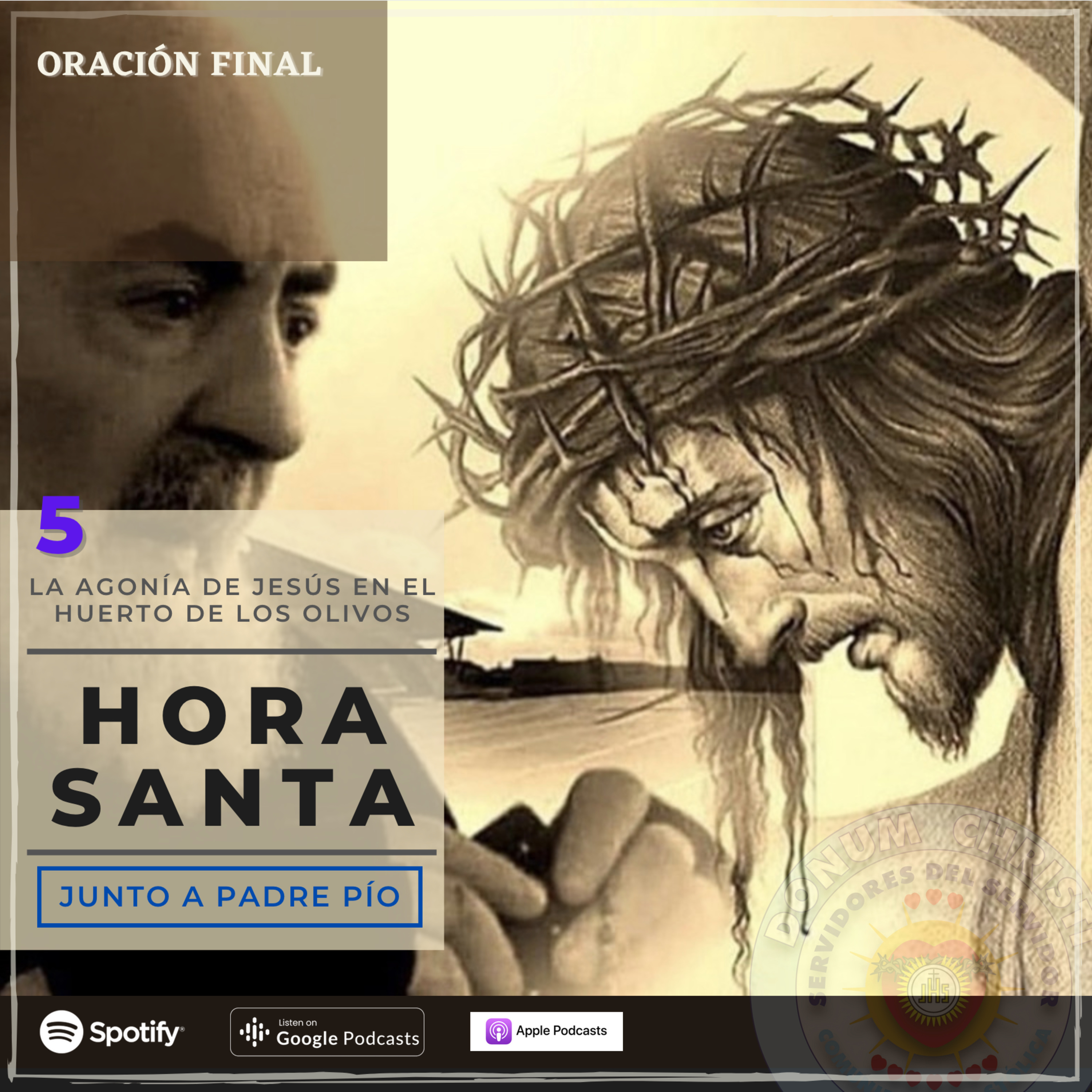Novena Virgen de Fátima | Servidores del Servidor