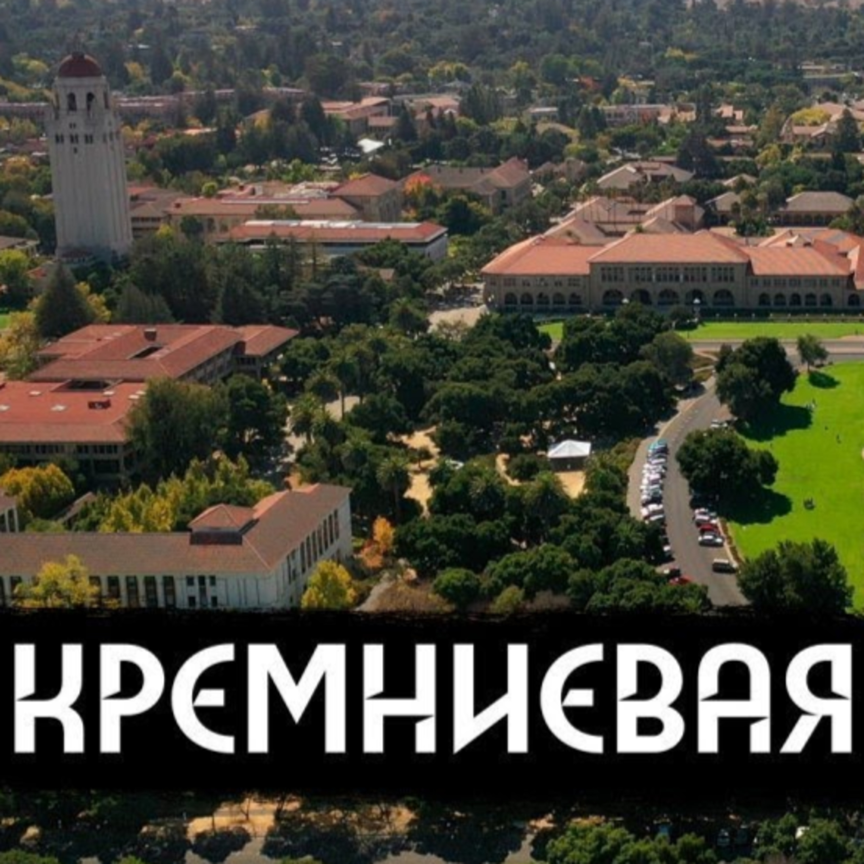 вДудь