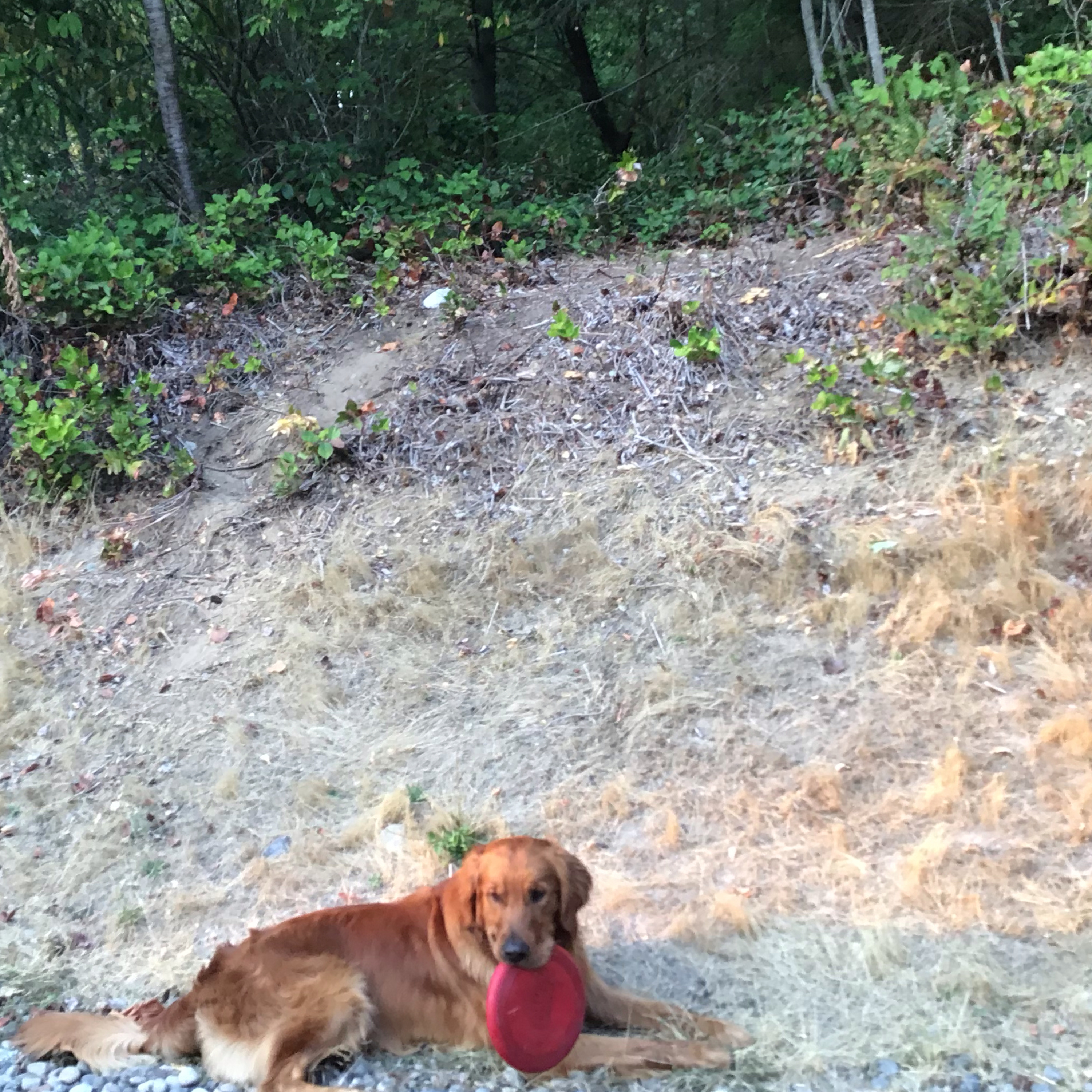 Adventures with Baye