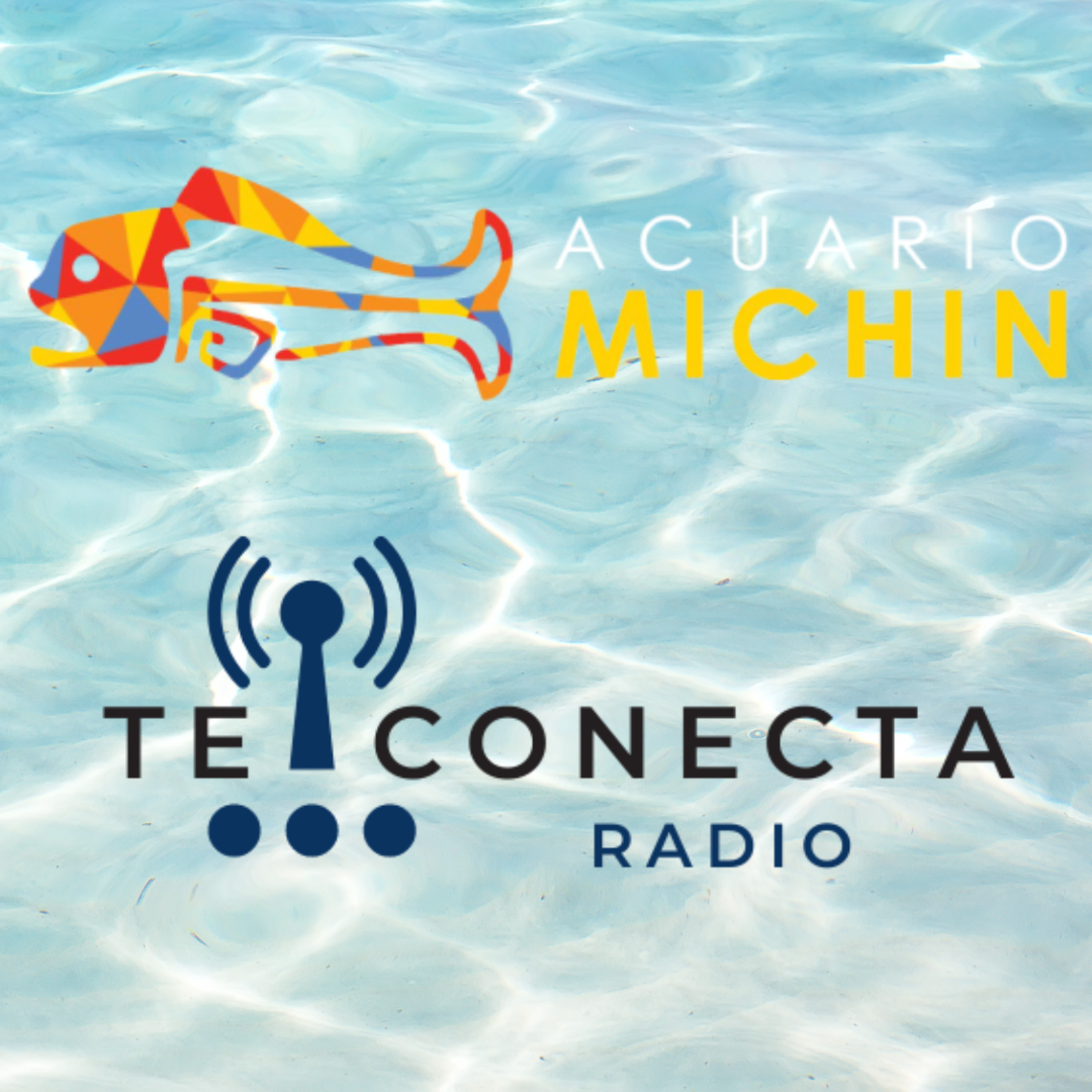 Conectando Acuario Michín. episode artwork