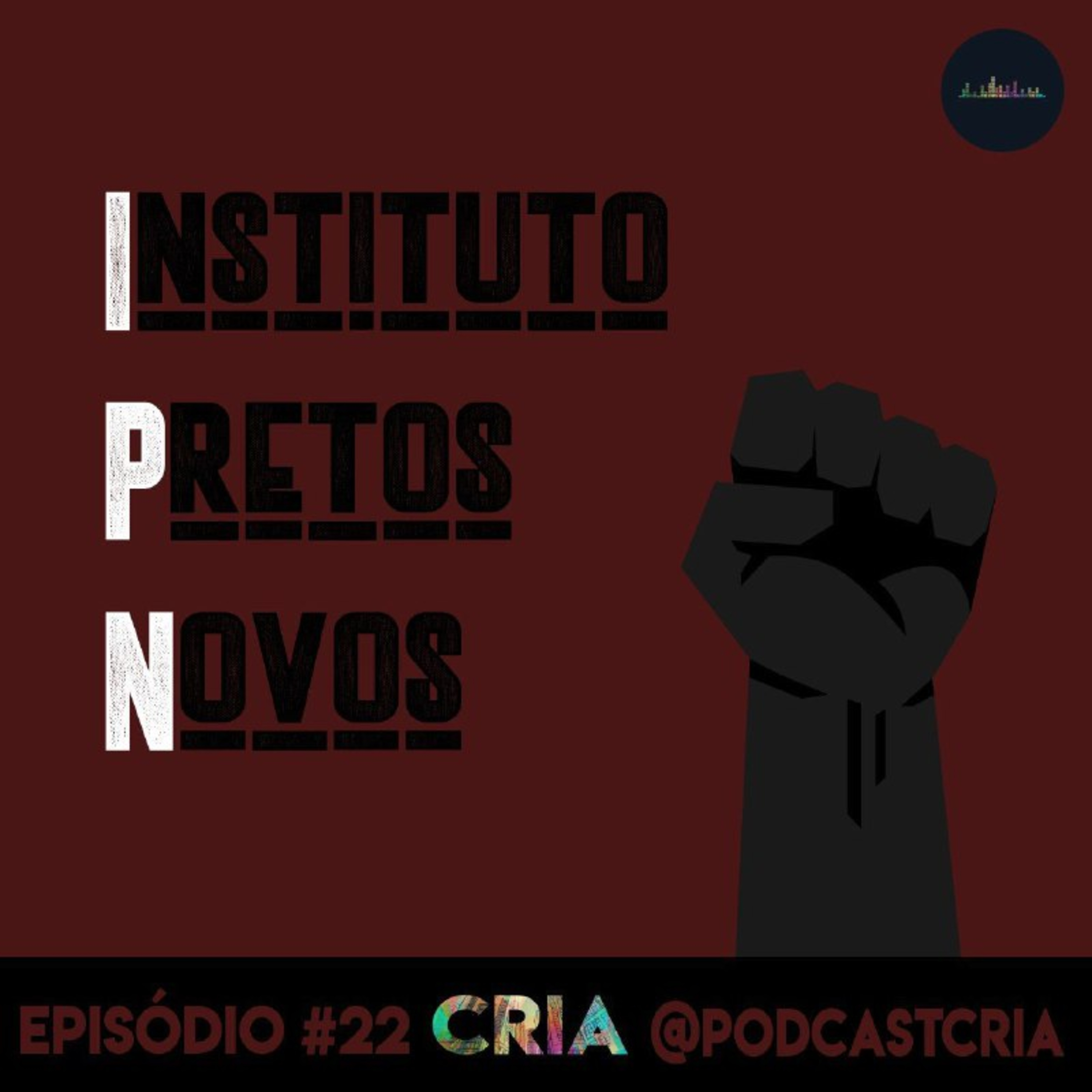 #22 Instituto Pretos Novos episode artwork