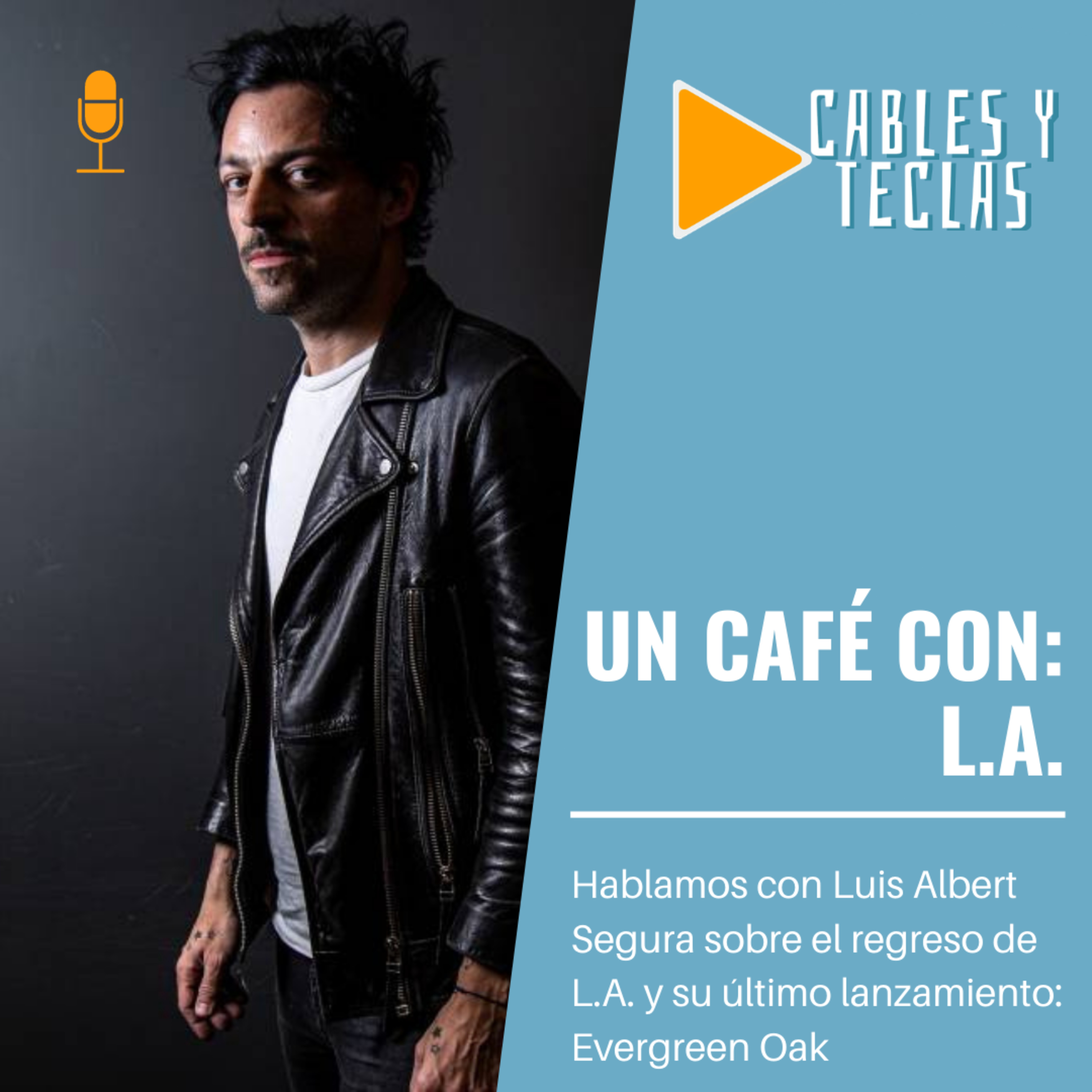 Cables y Teclas