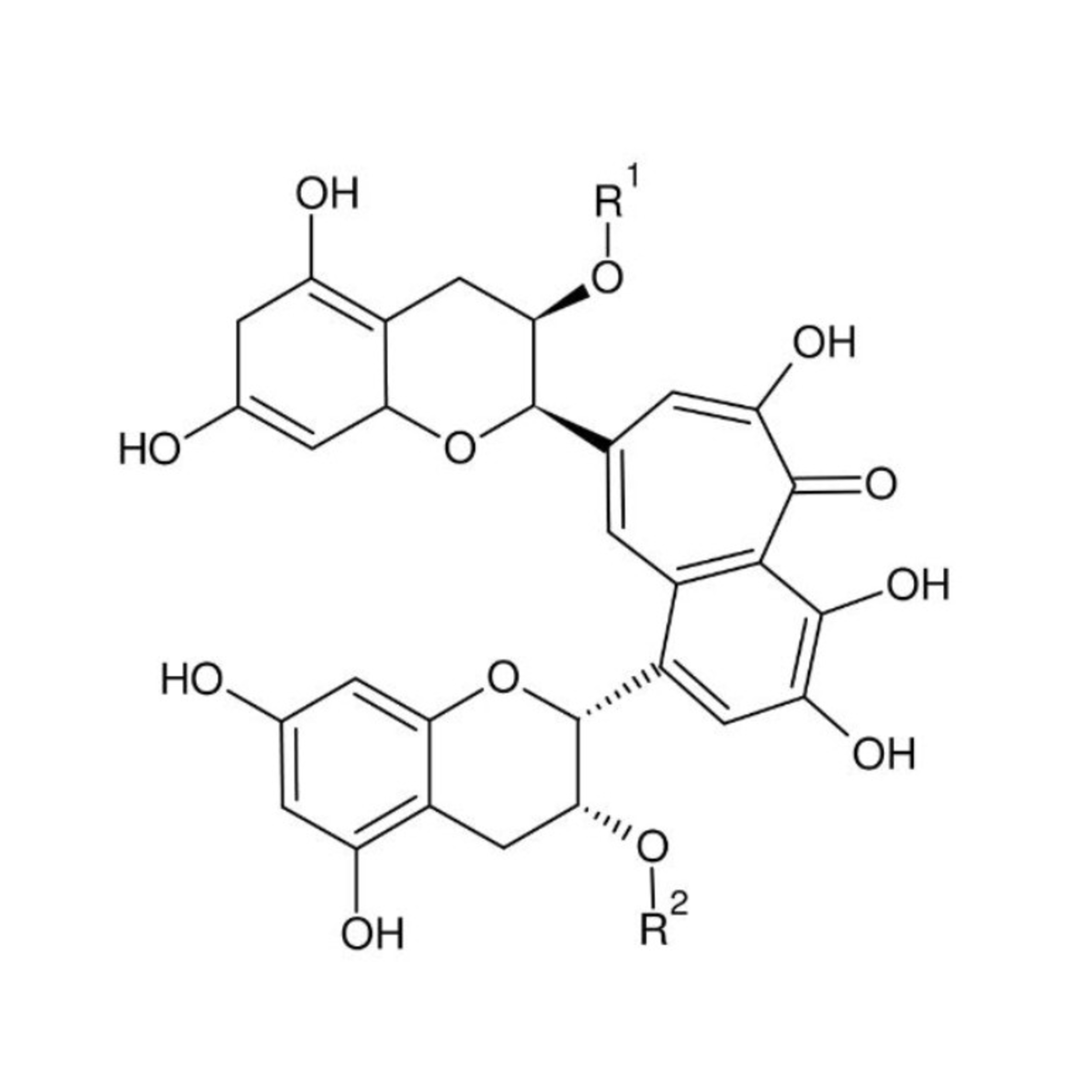 ダージリンの淹れ方のコツ(Ari 流) ダージリンの淹れ方のコツ(Ari 流)