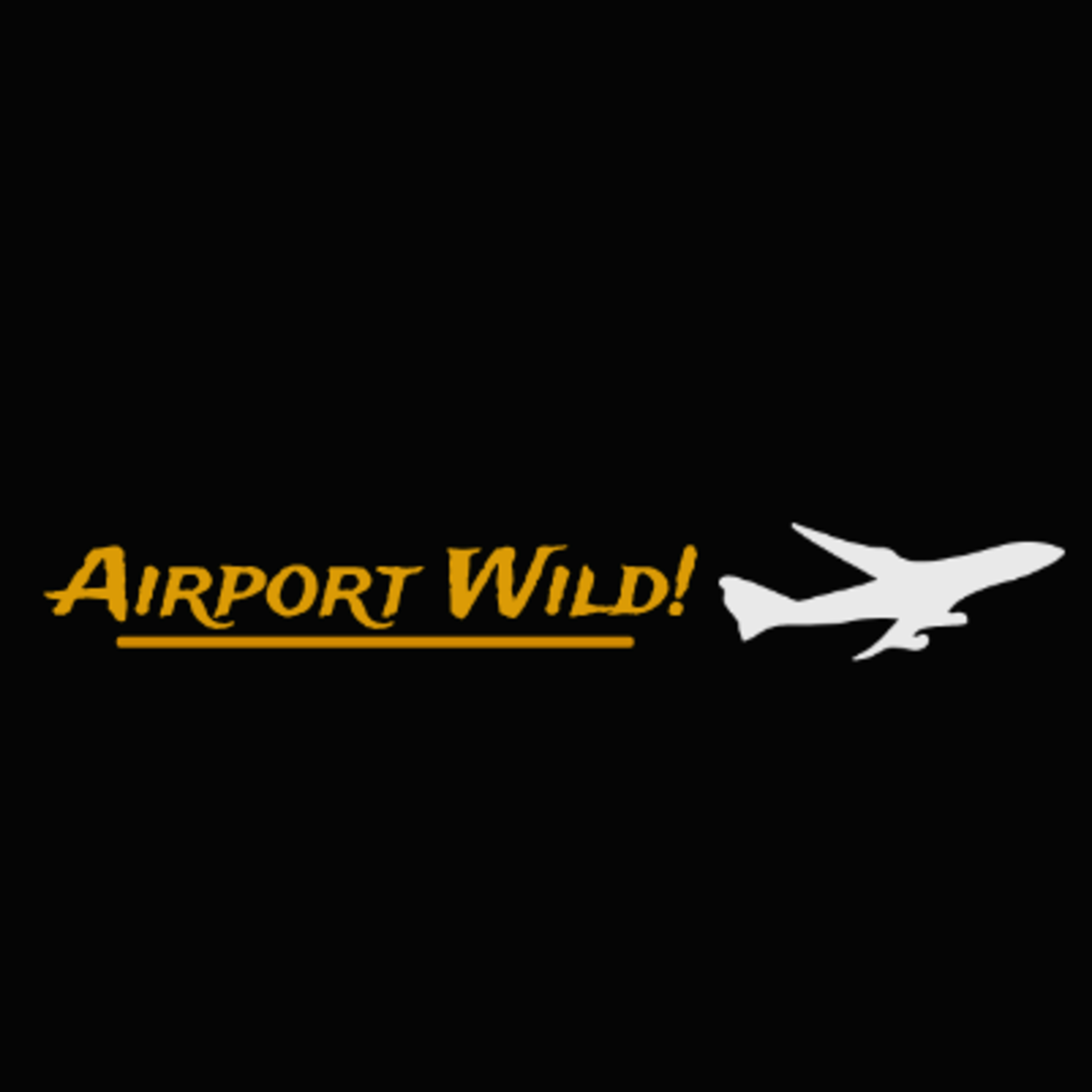 Airport Wild!