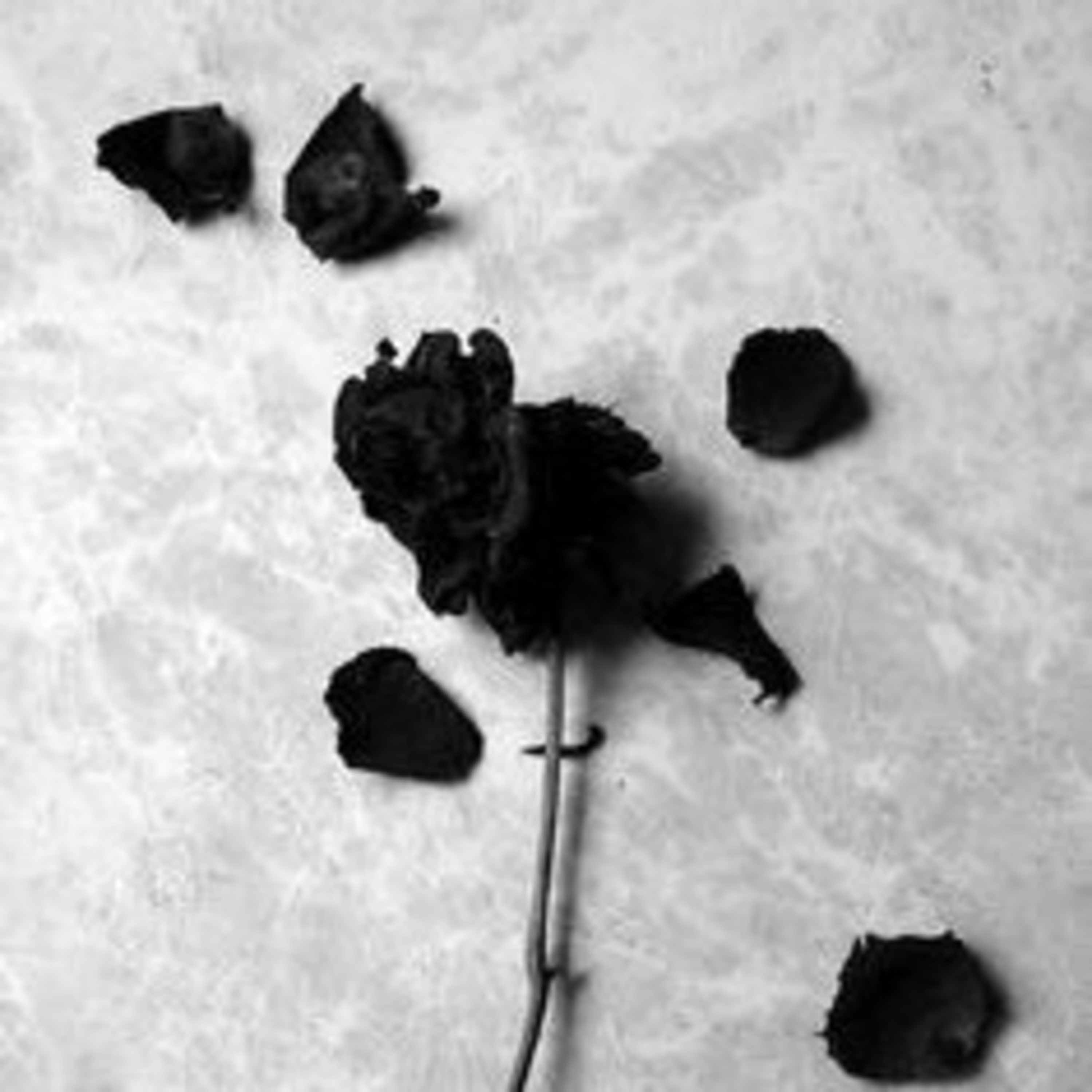 Inside No.one