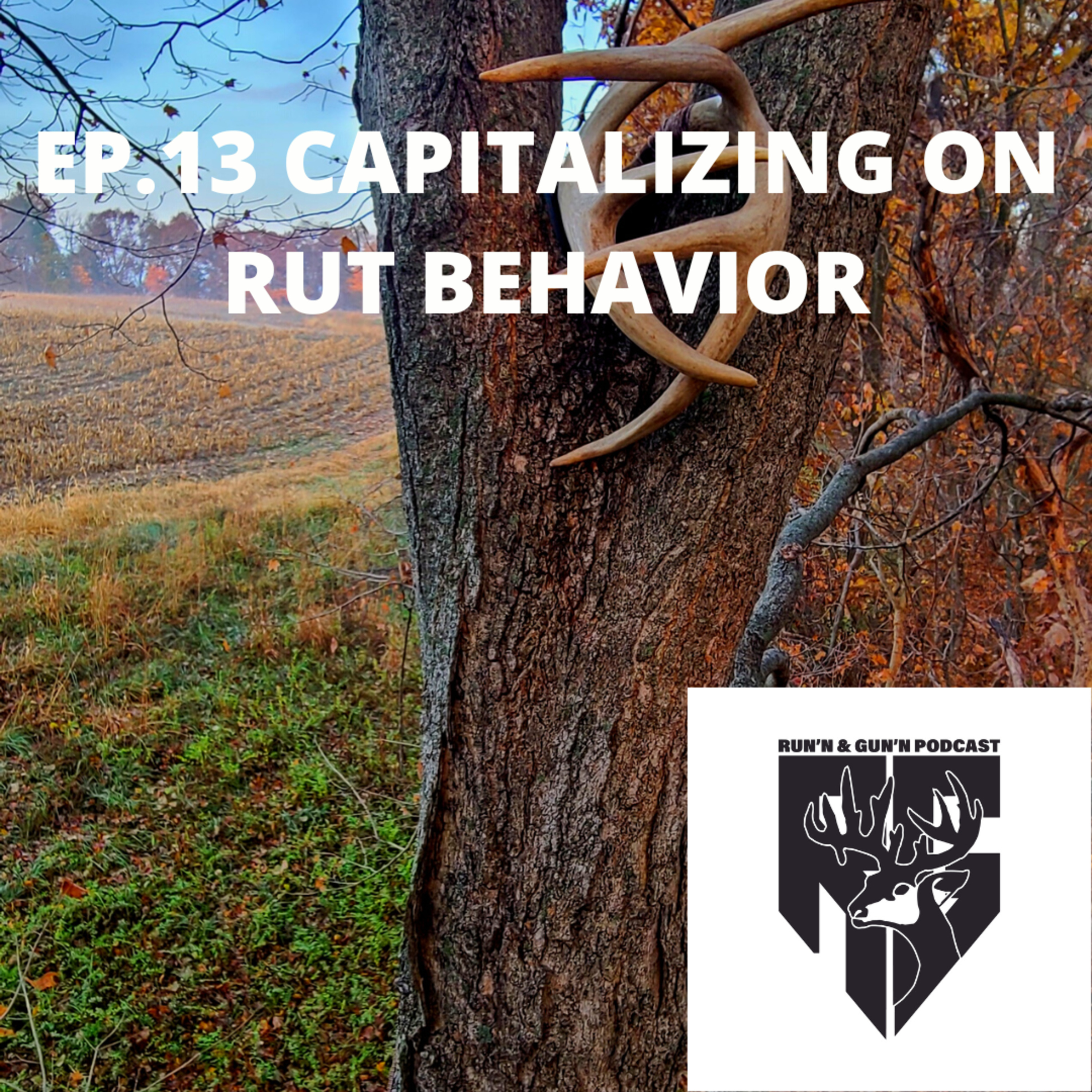 Run\'n and Gun\'n Podcast