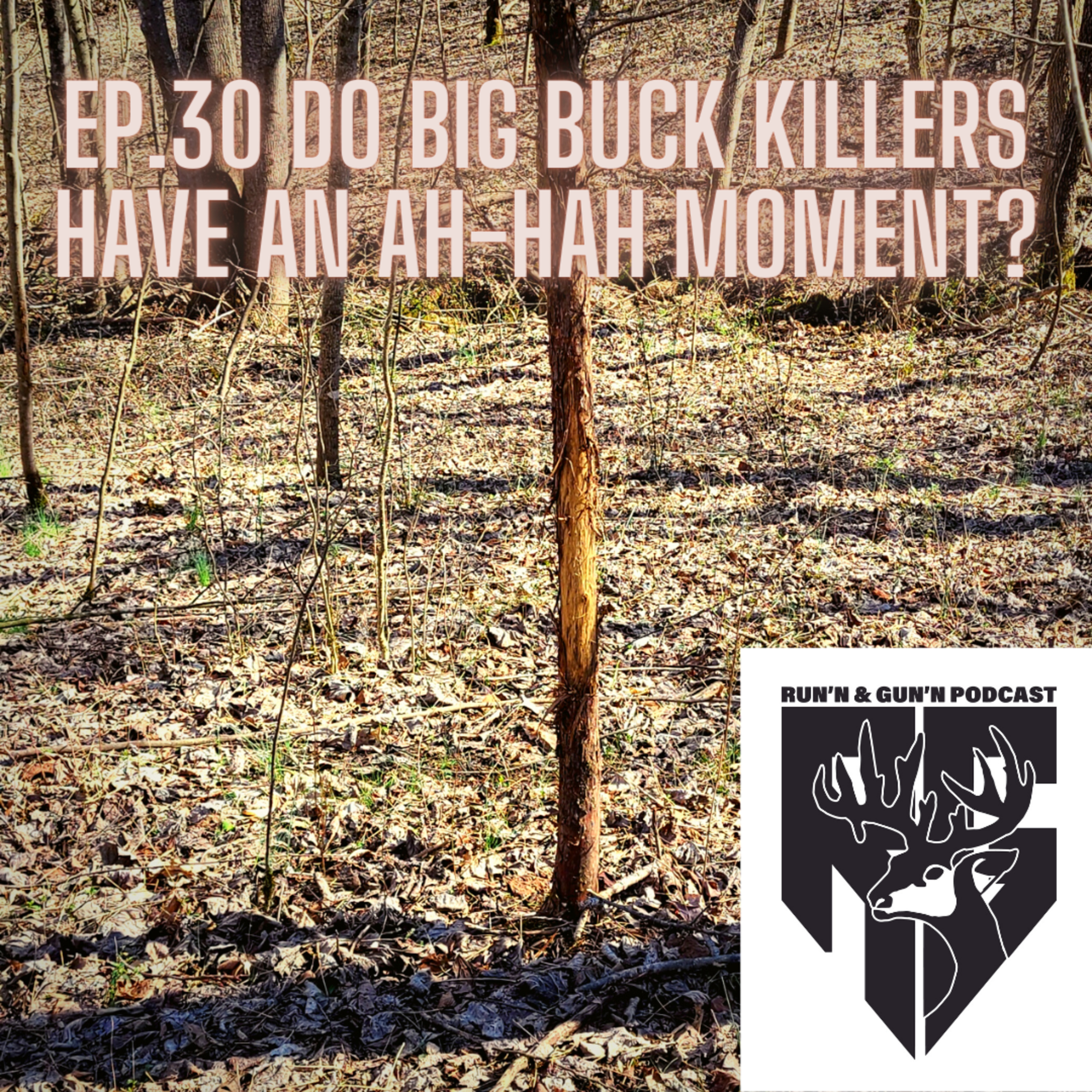 EP#30 Do big buck killers have an Ah-Hah moment? episode artwork