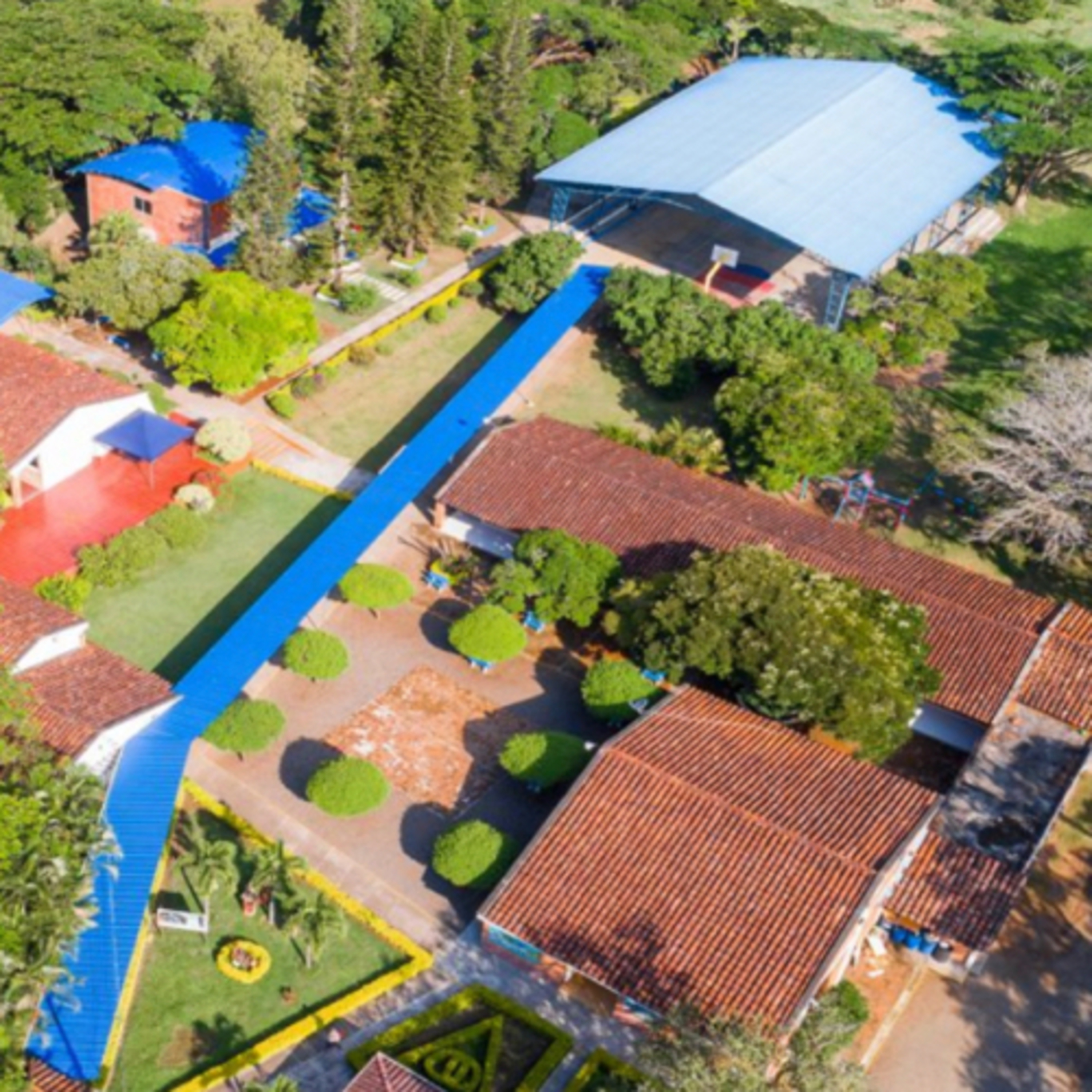 ¿Como ha sido la alternancia?