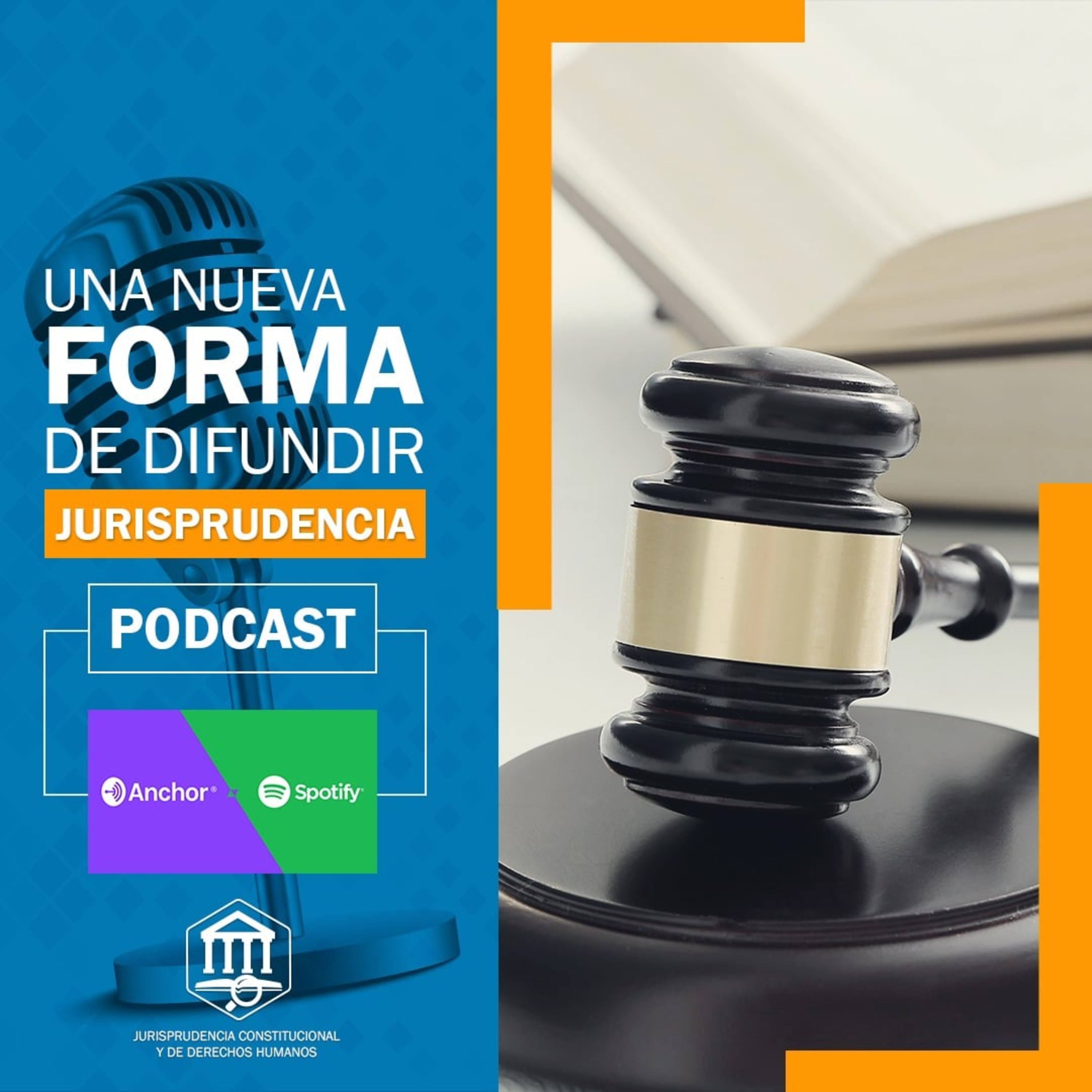 Jurisprudencia Constitucional y de Derechos Humanos
