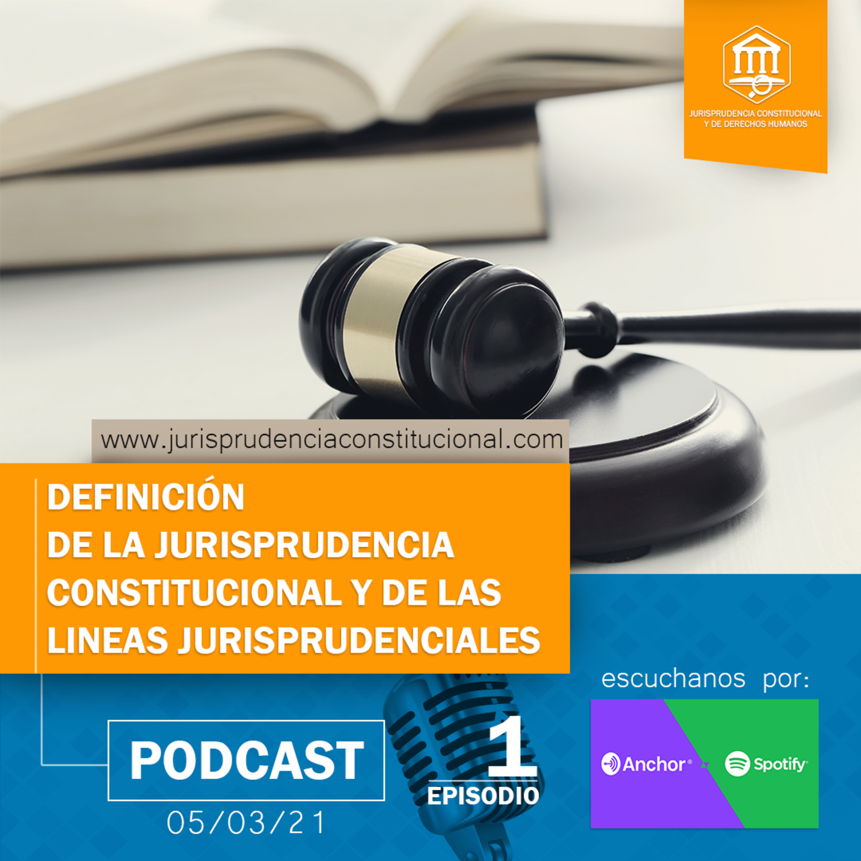 Jurisprudencia Constitucional y de Derechos Humanos