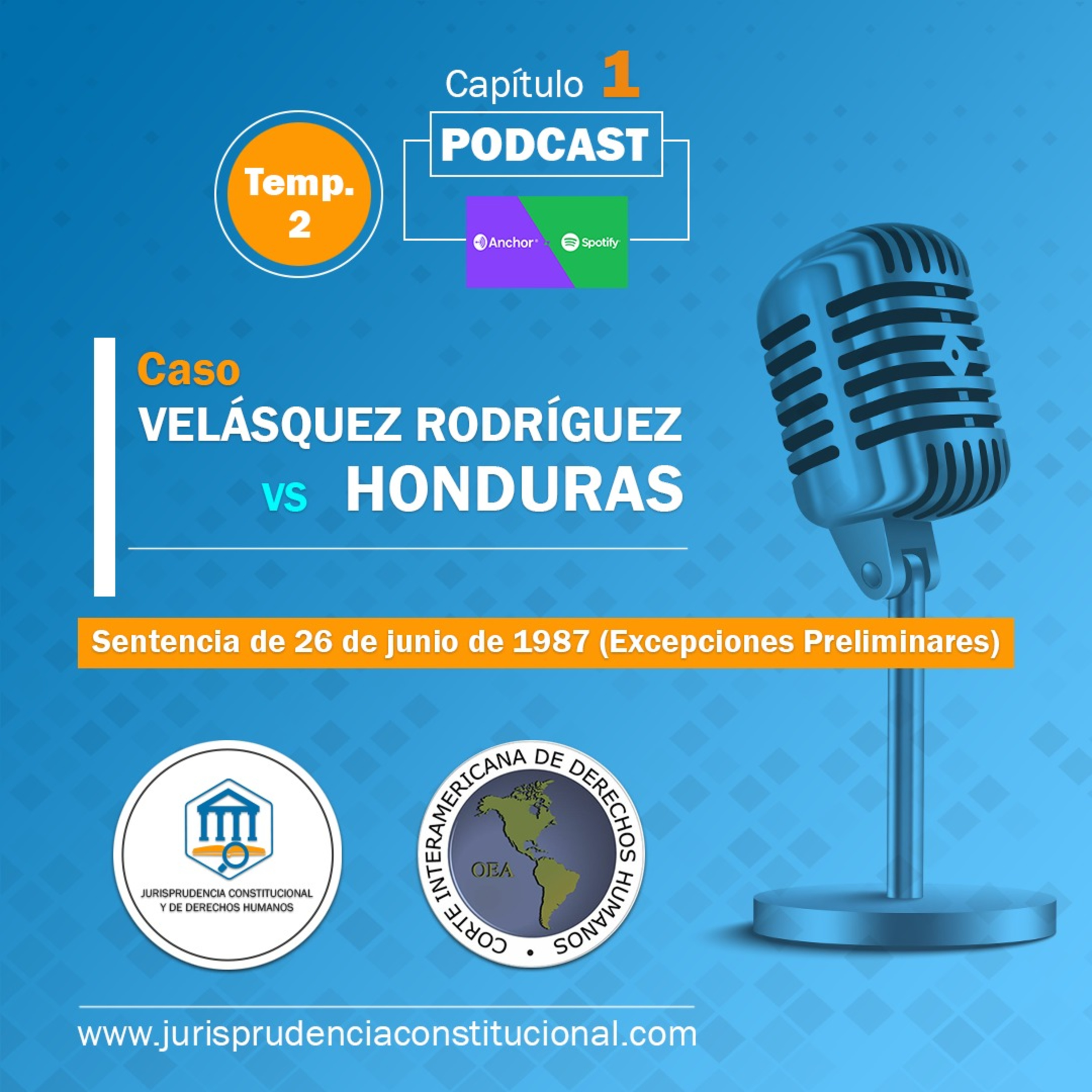 Jurisprudencia Constitucional y de Derechos Humanos