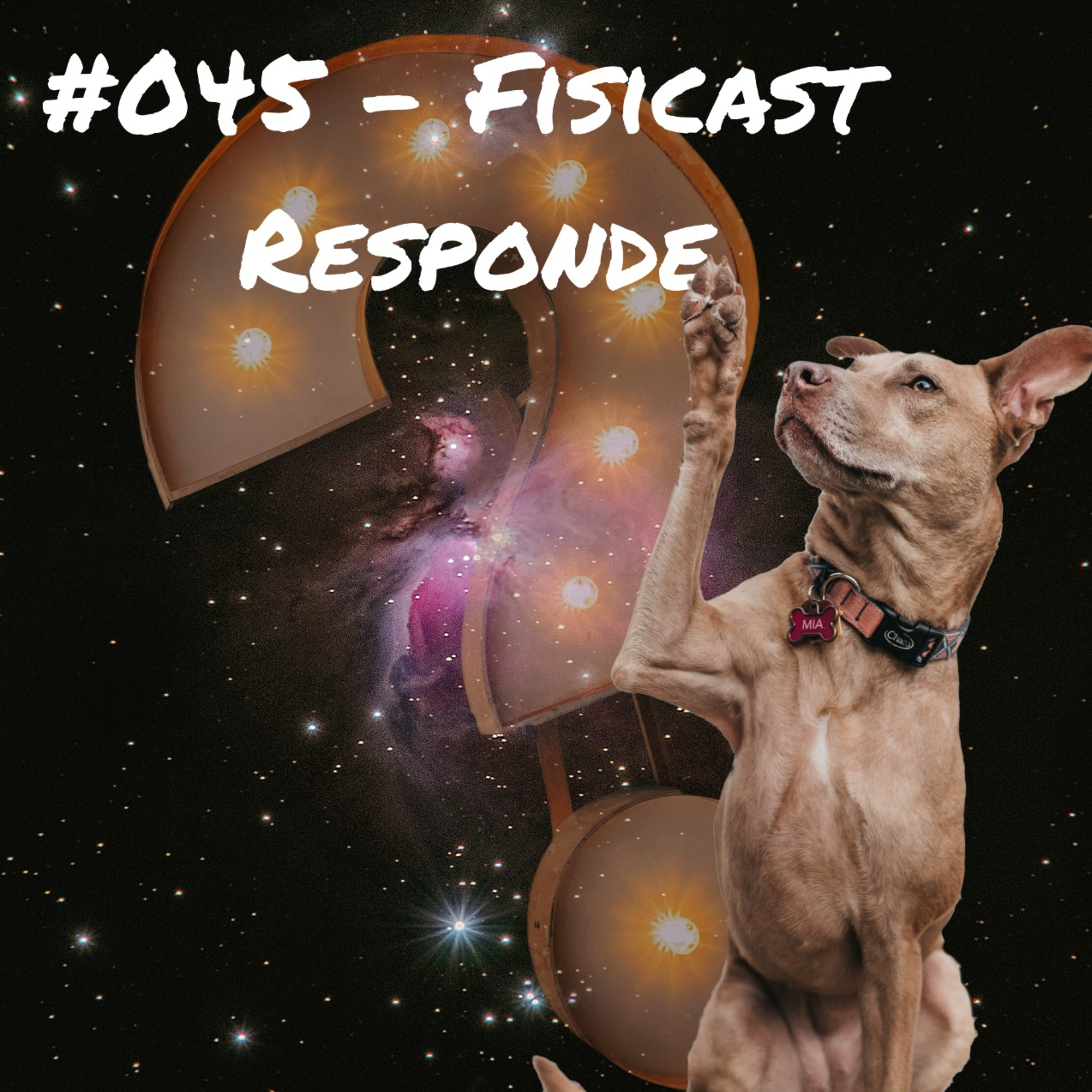 Fisicast