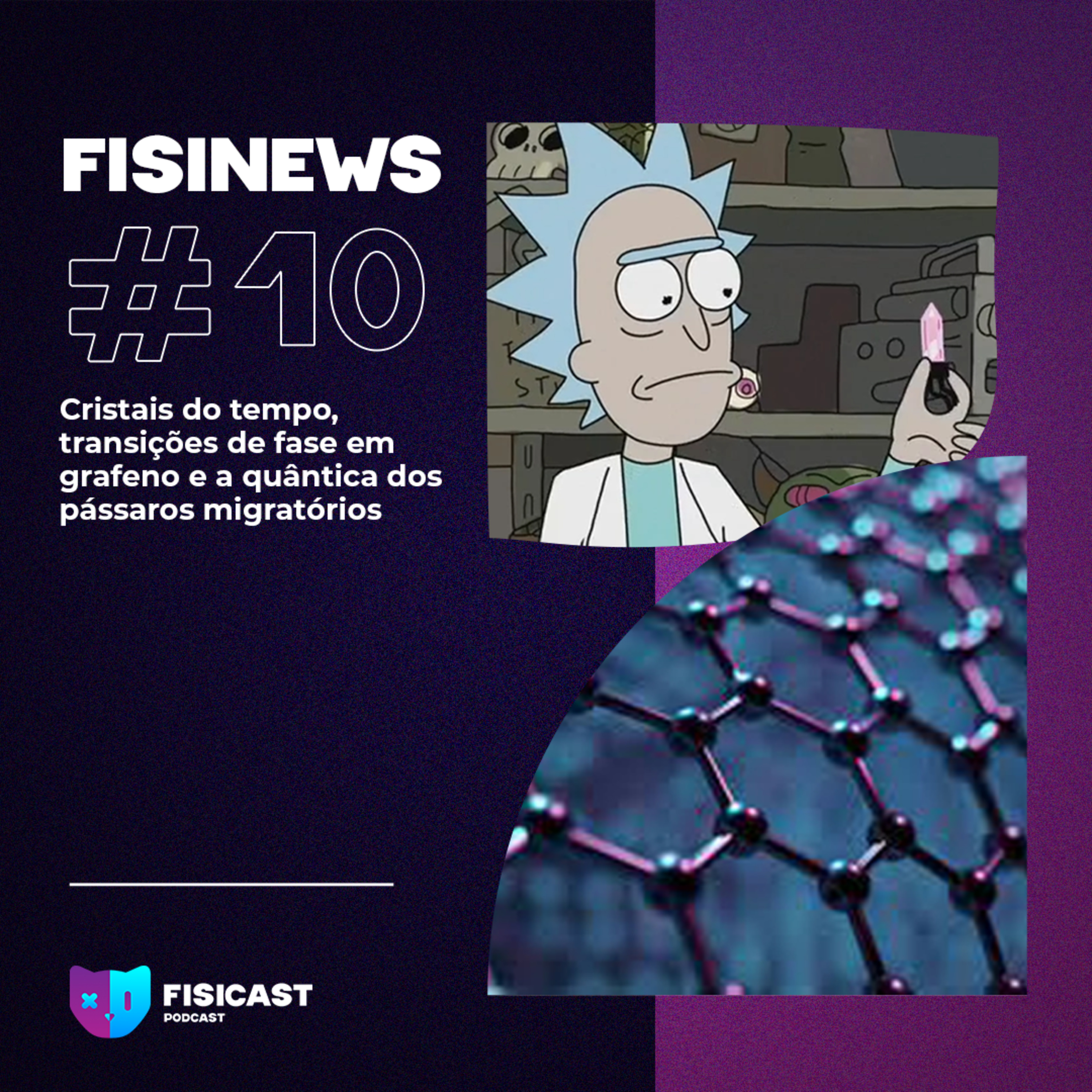 Fisinews #010 - Cristais do tempo, transições de fase em grafeno e a quântica dos pássaros migratórios episode artwork