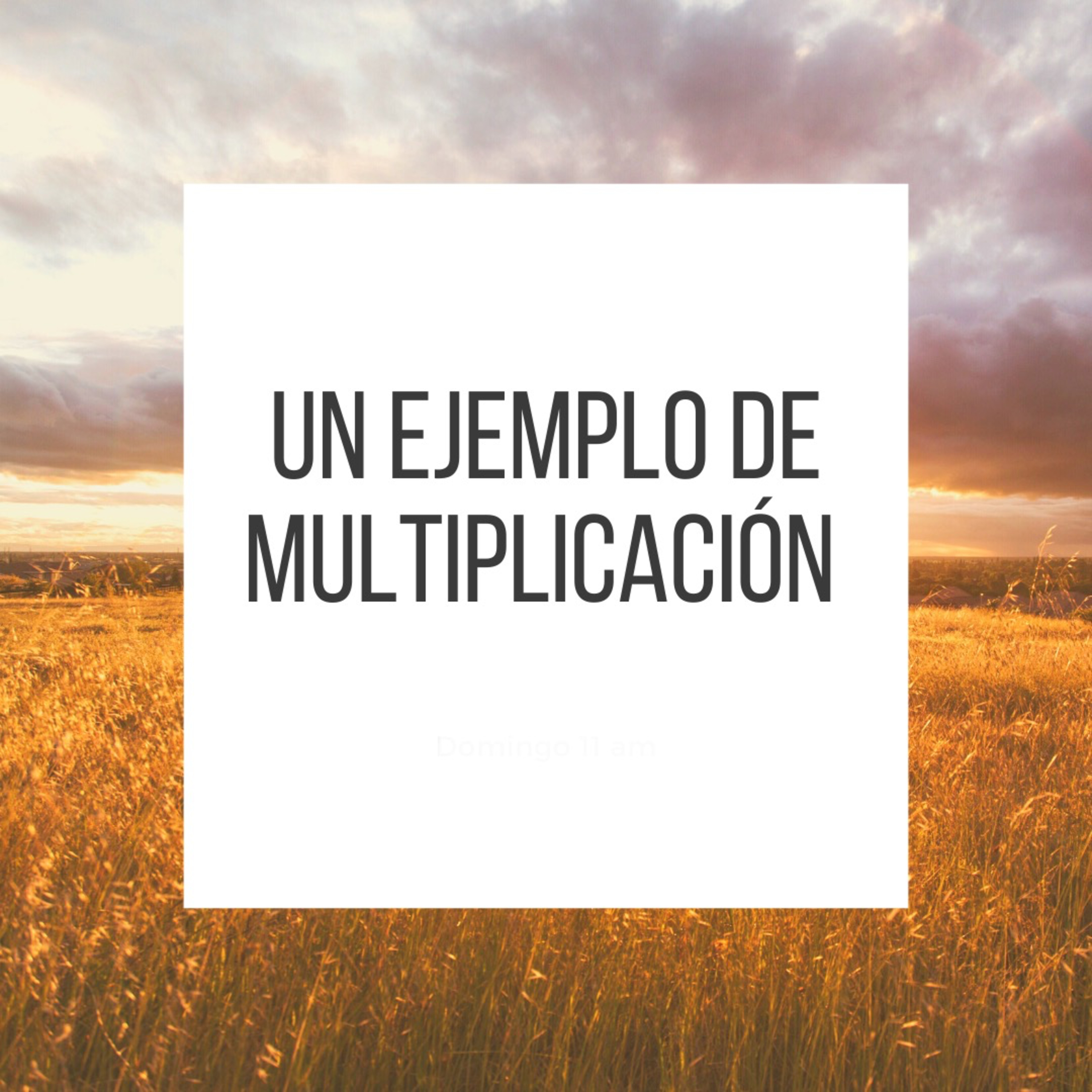 COMUNIDAD XALAPA