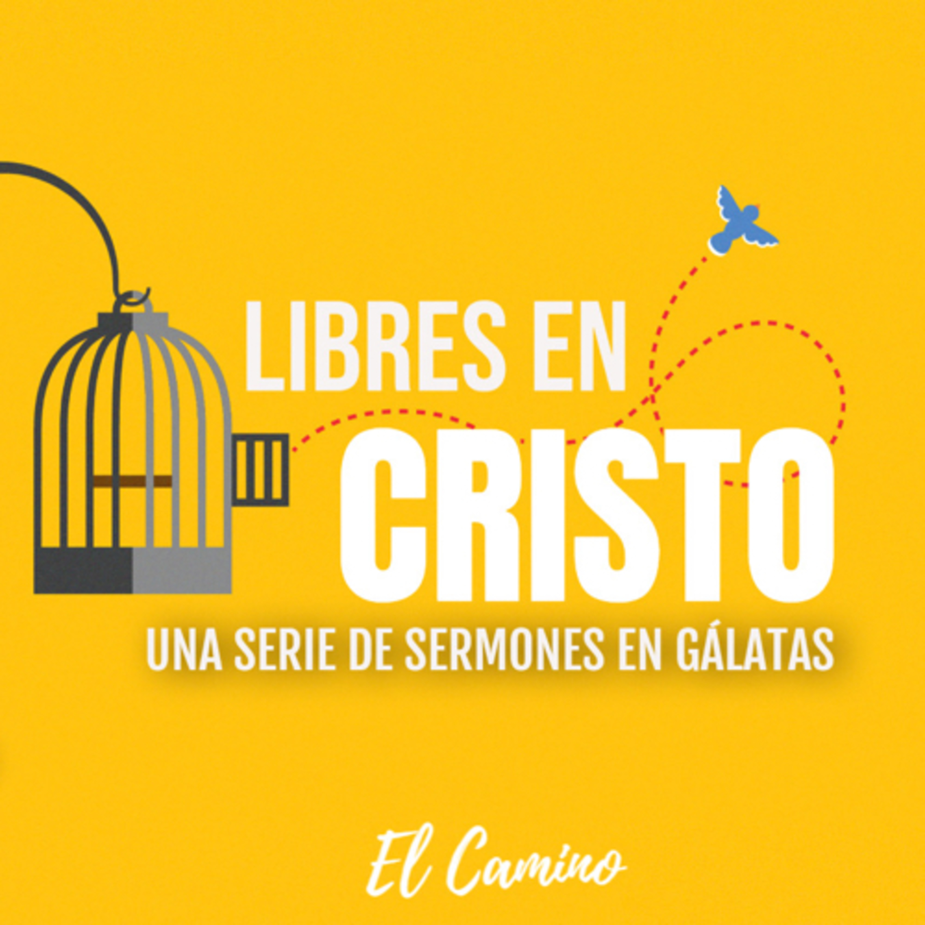 Libres en Cristo | Gálatas 1:1-5 | Miércoles 24 de Noviembre de 2021 episode artwork